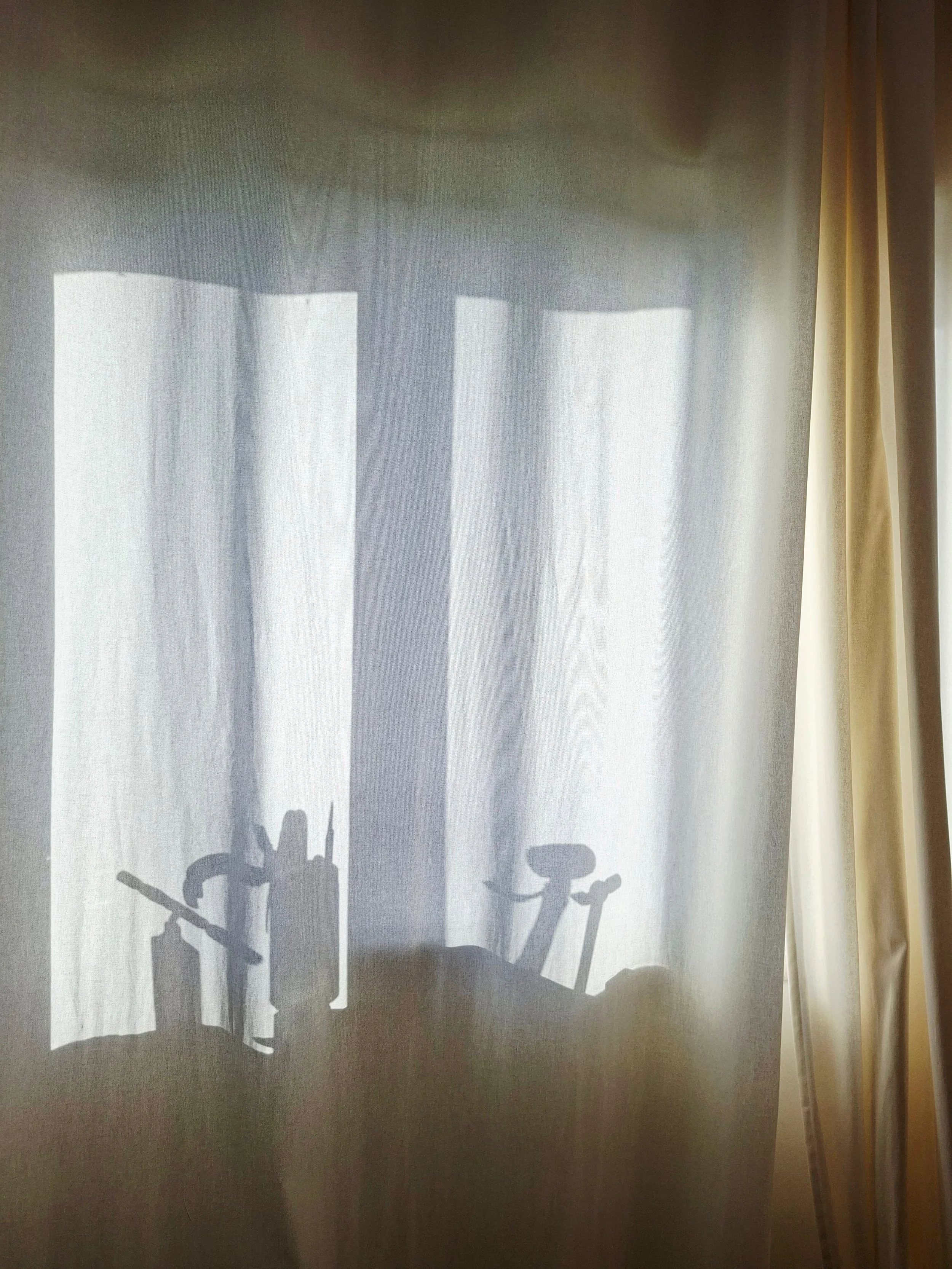 20260212_092720-2.jpg