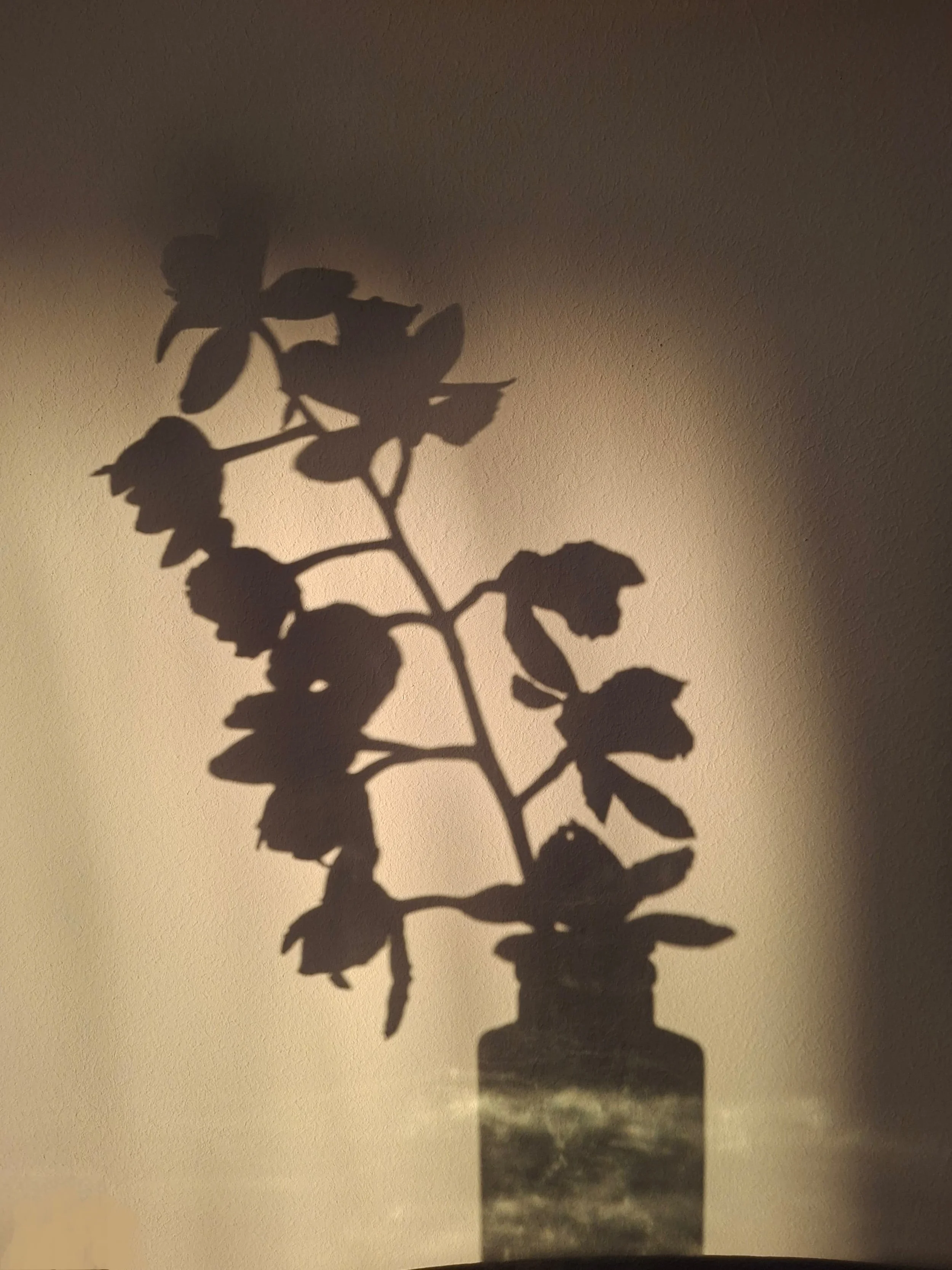 20260220_180644-2.jpg