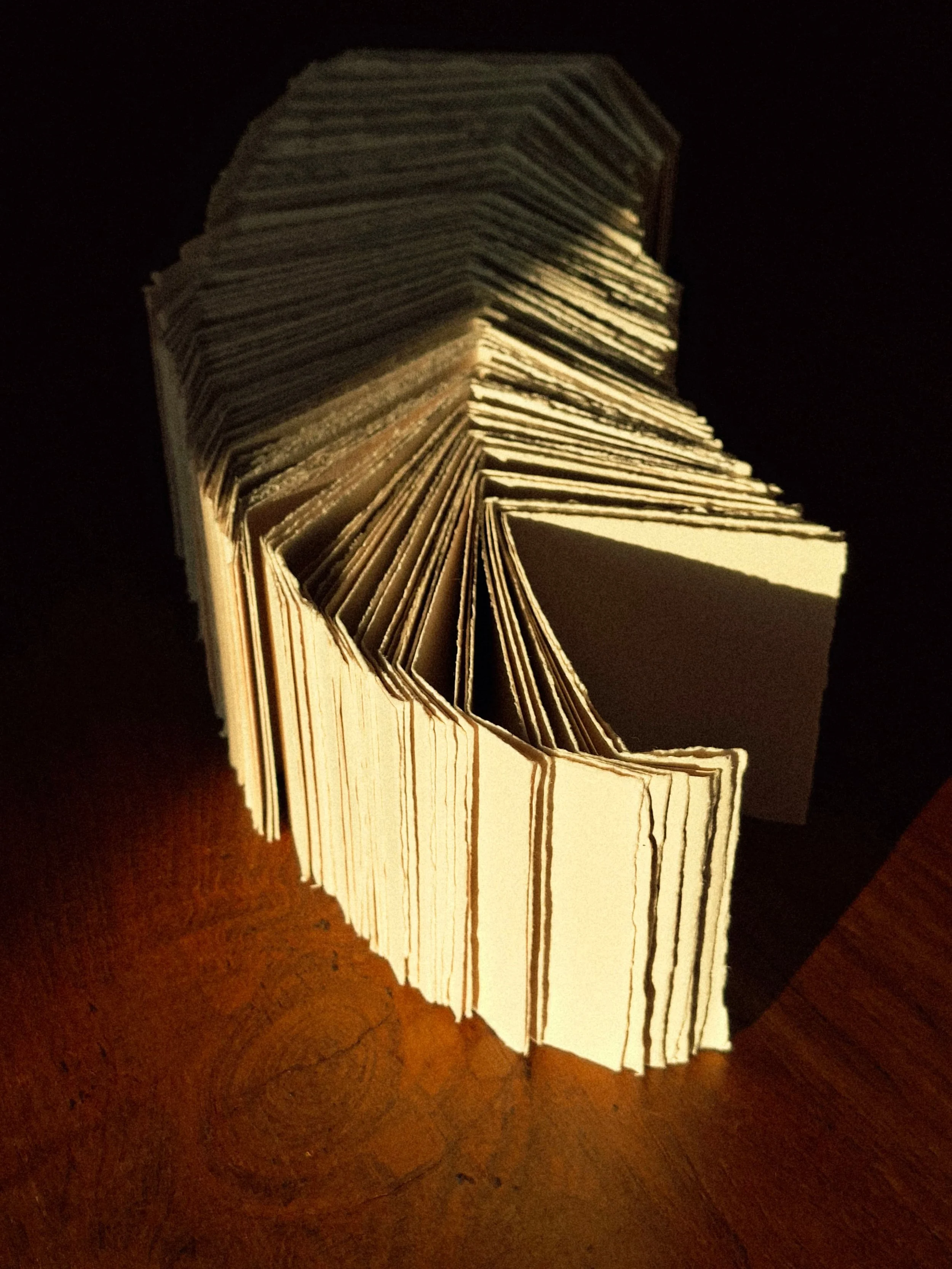 20260220_172151-2.jpg