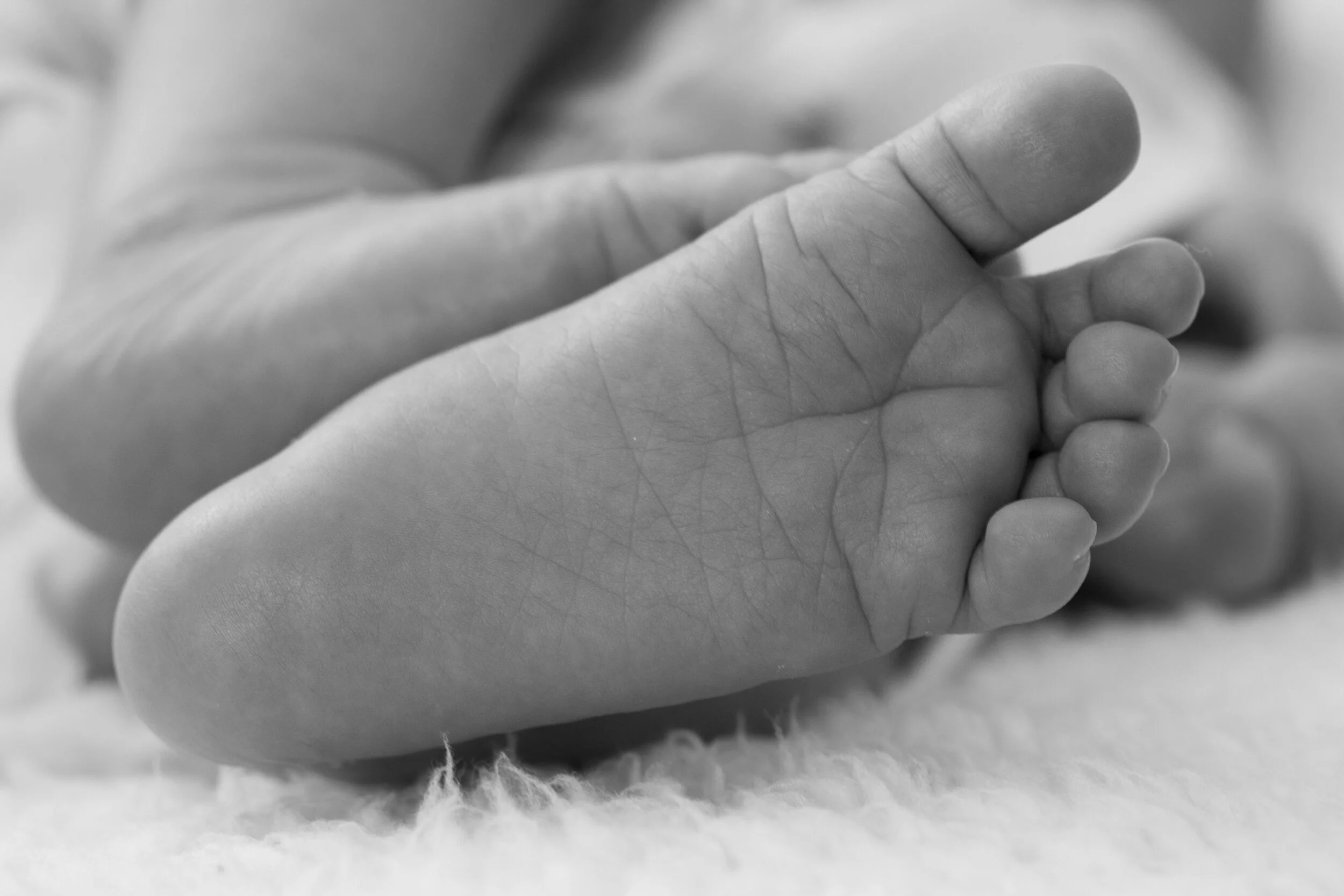 Leo - 07 03 2018 (1).jpg