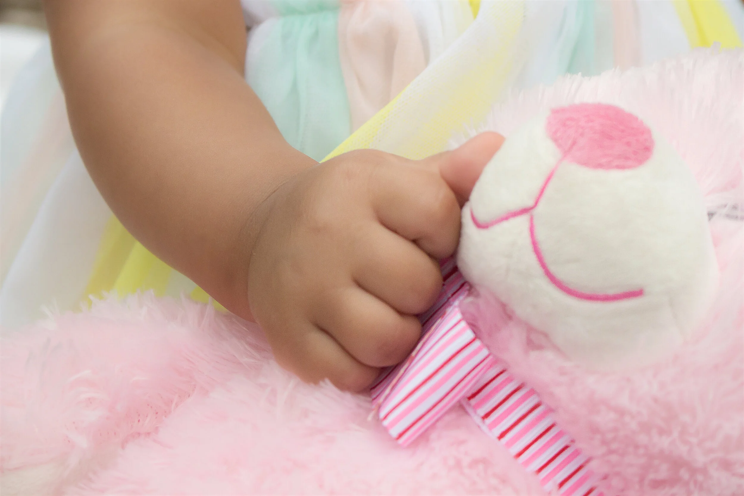 Emiliya 07 23 2017-26.jpg