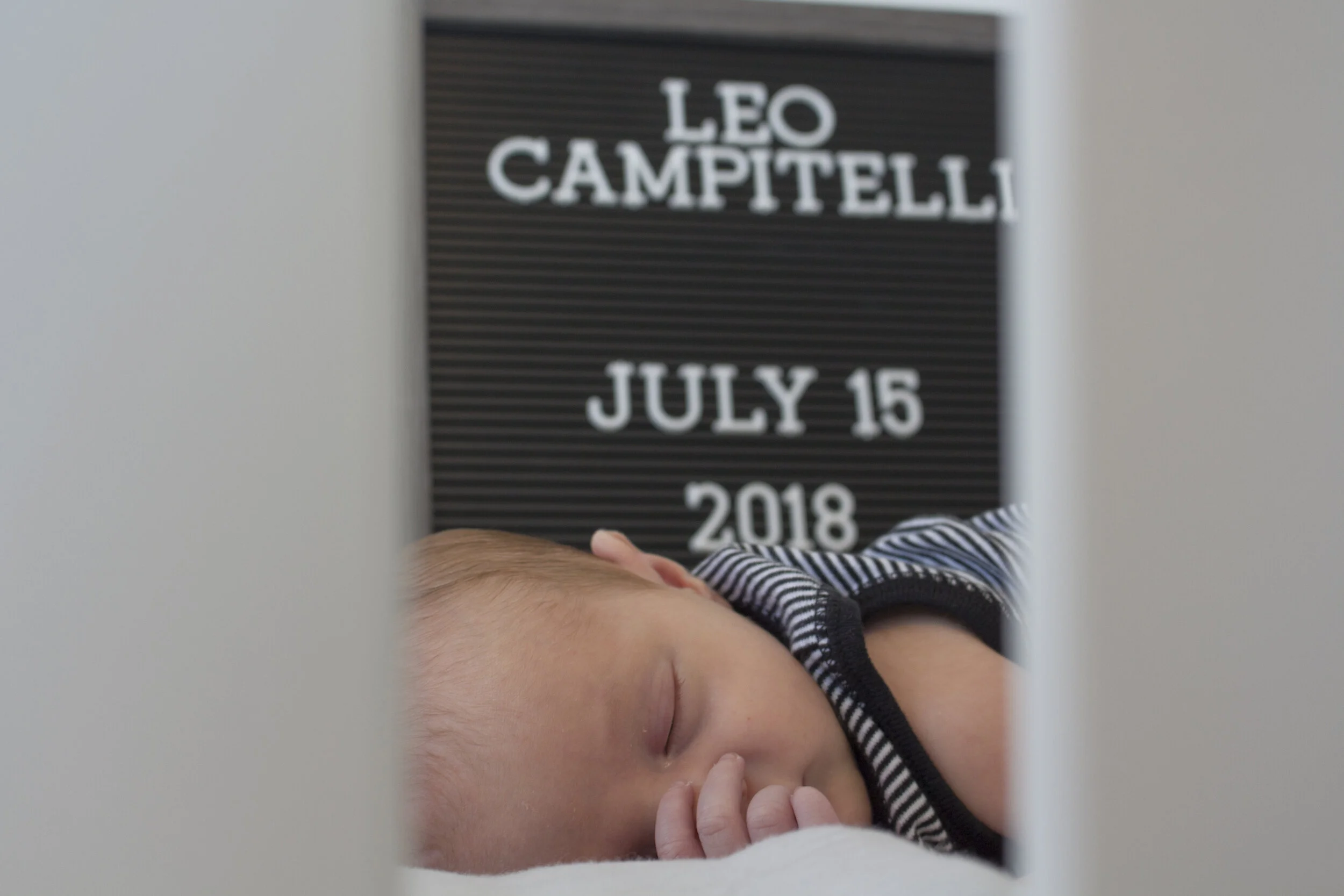 Leo - 07 03 2018 (28).jpg