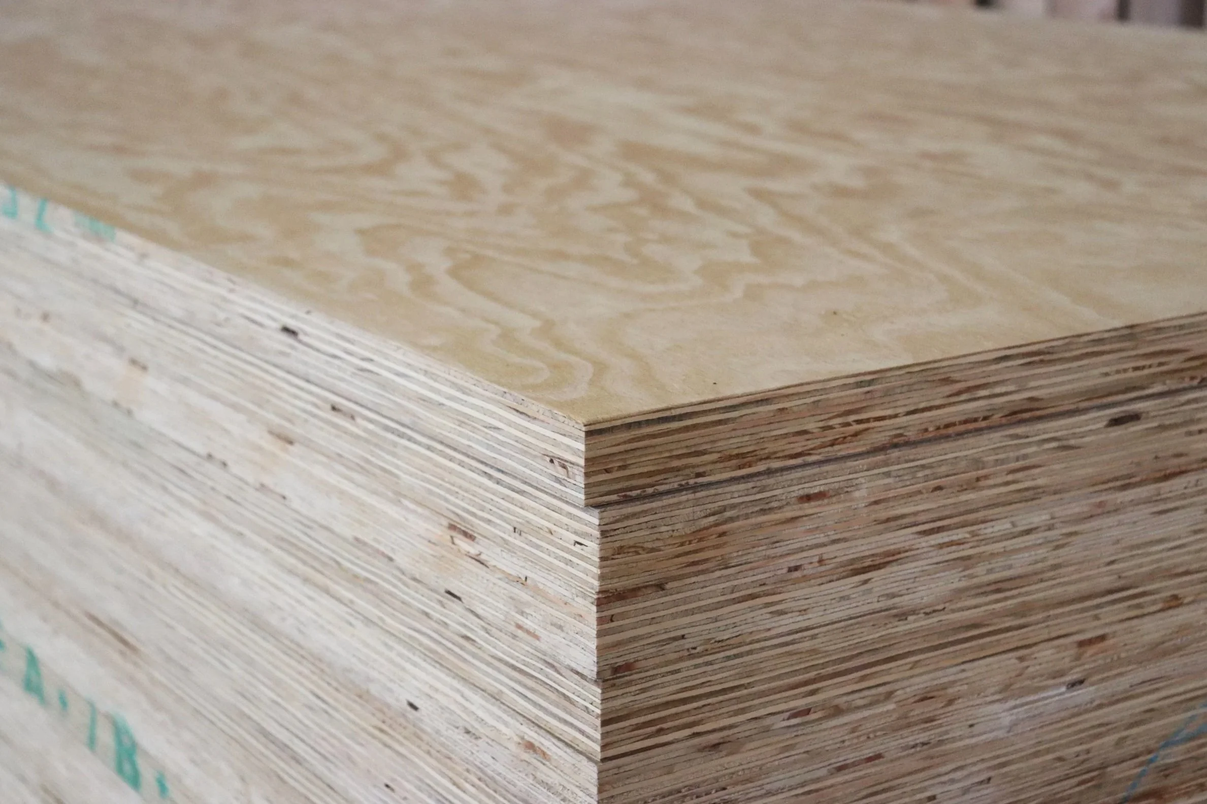 Understanding Exterior Pine Plywood Grades at Saplings Timber Trading