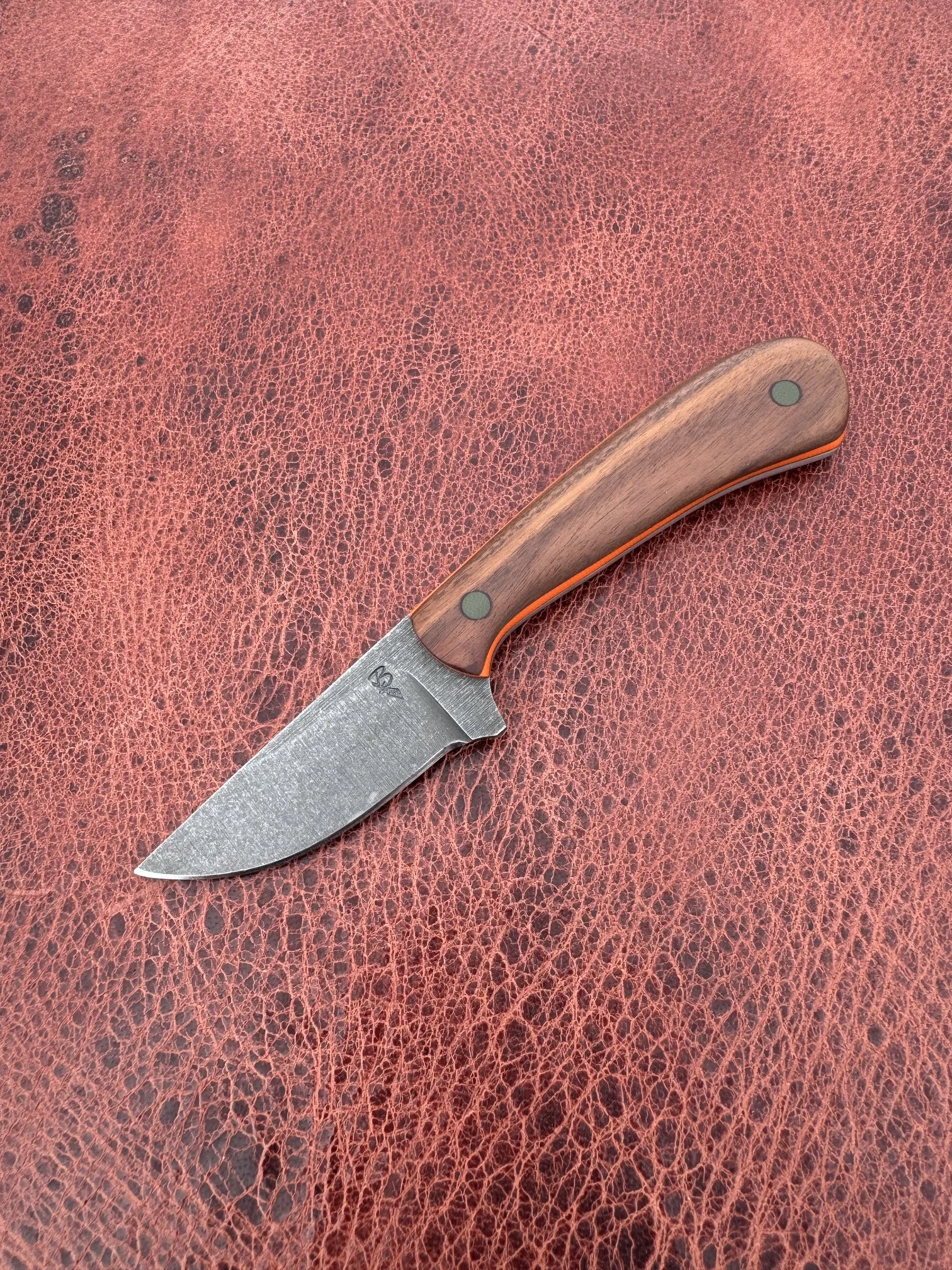 image3 (12).jpeg