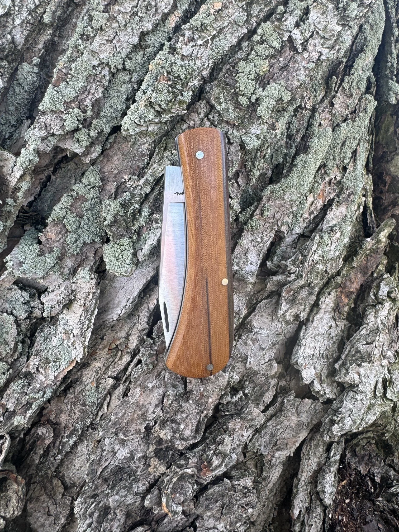 image3 (10).jpeg