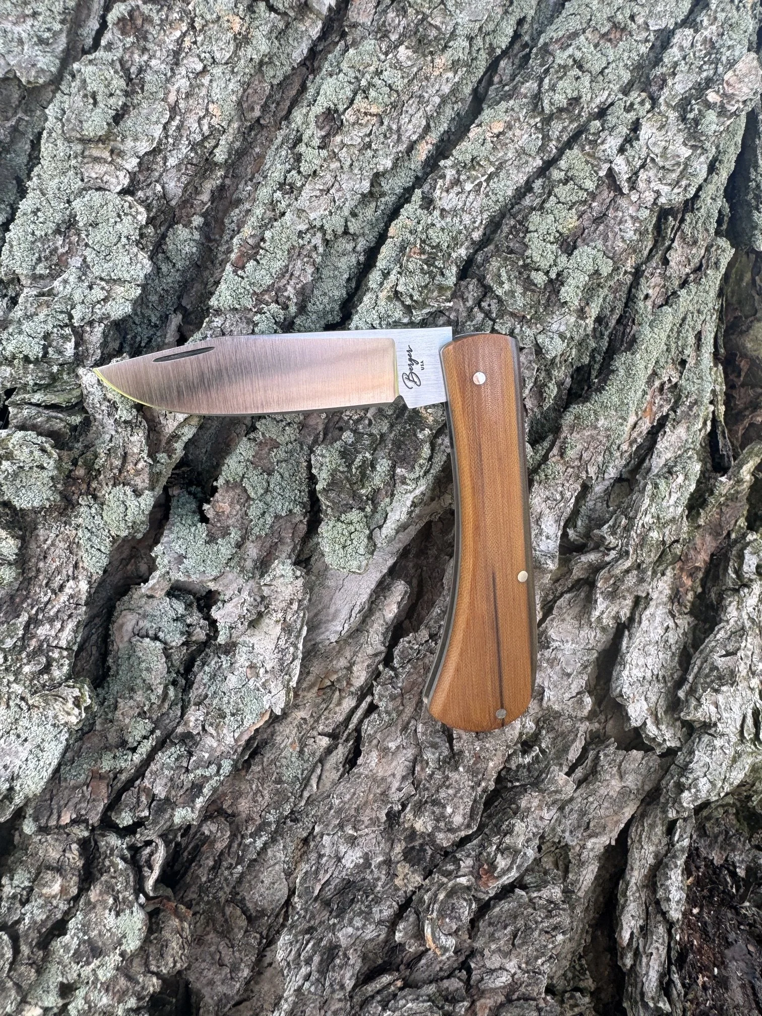 image2 (16).jpeg