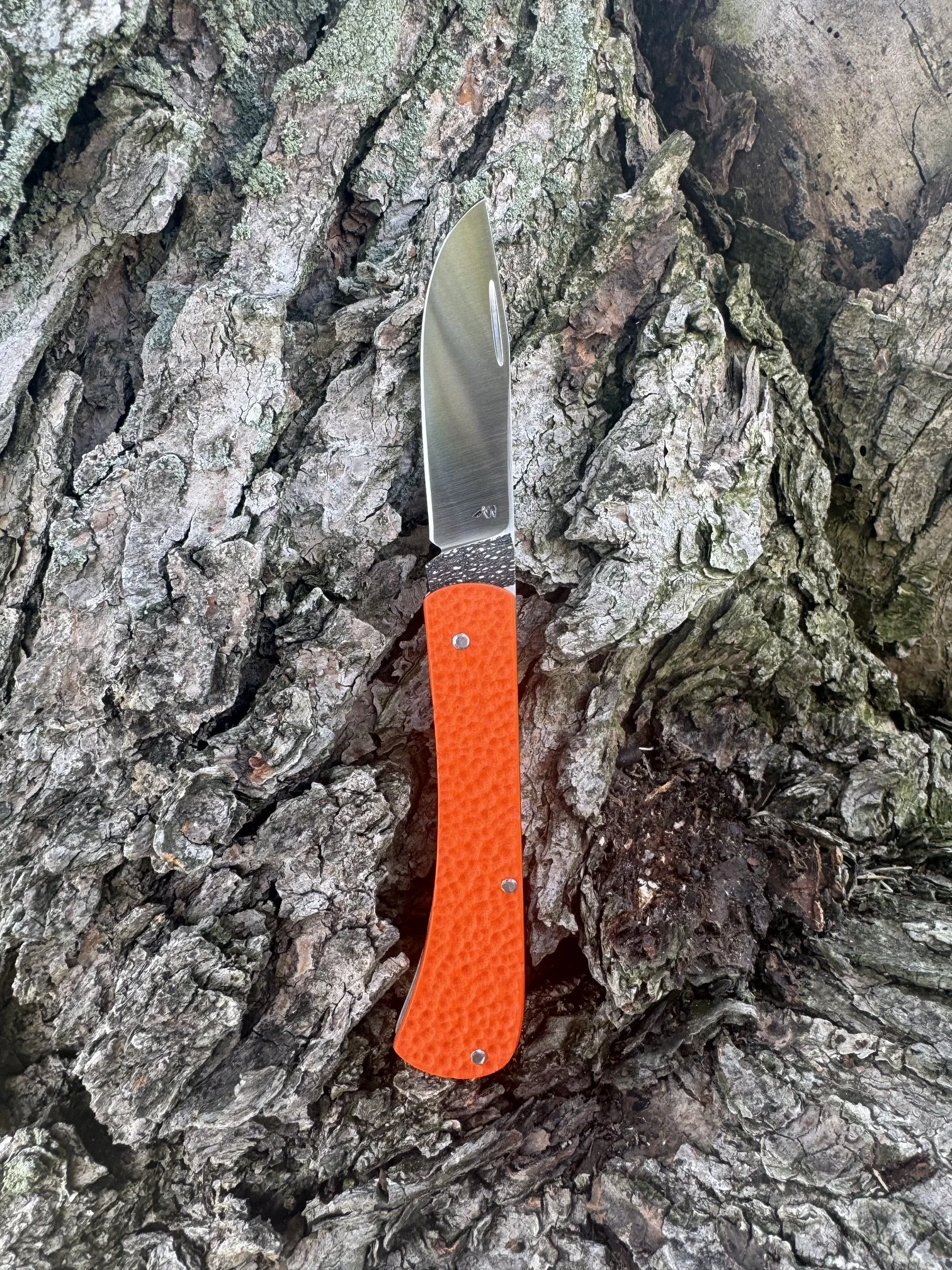 image2 (14).jpeg