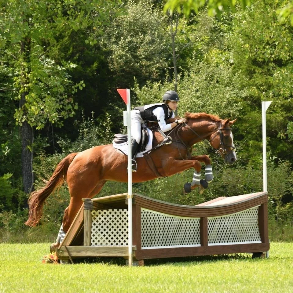 Let It Be, aka "Lady": 1999, 16’1 hh, chestnut Hanovarian mare. This wonderful mare is the jack of all trades. She’s shown successfully in Jumpers, Hunters, Dressage, Equitation, and Eventing. She’s not a beginner ride, but she’s always going to get 