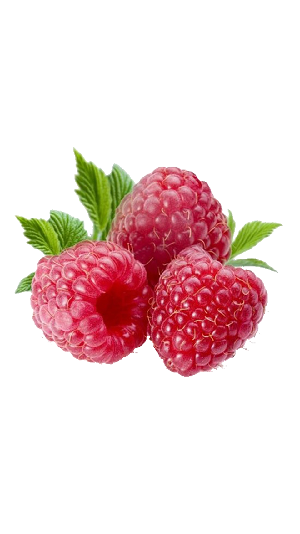 raspberries.png