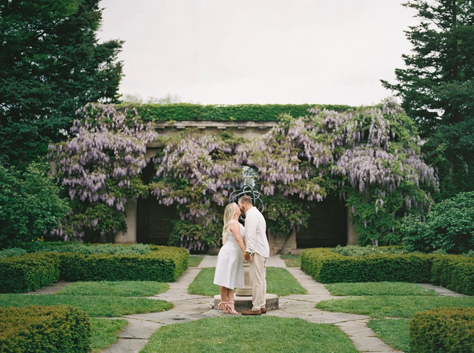 Wisteria Romance at the George Eastman Museum