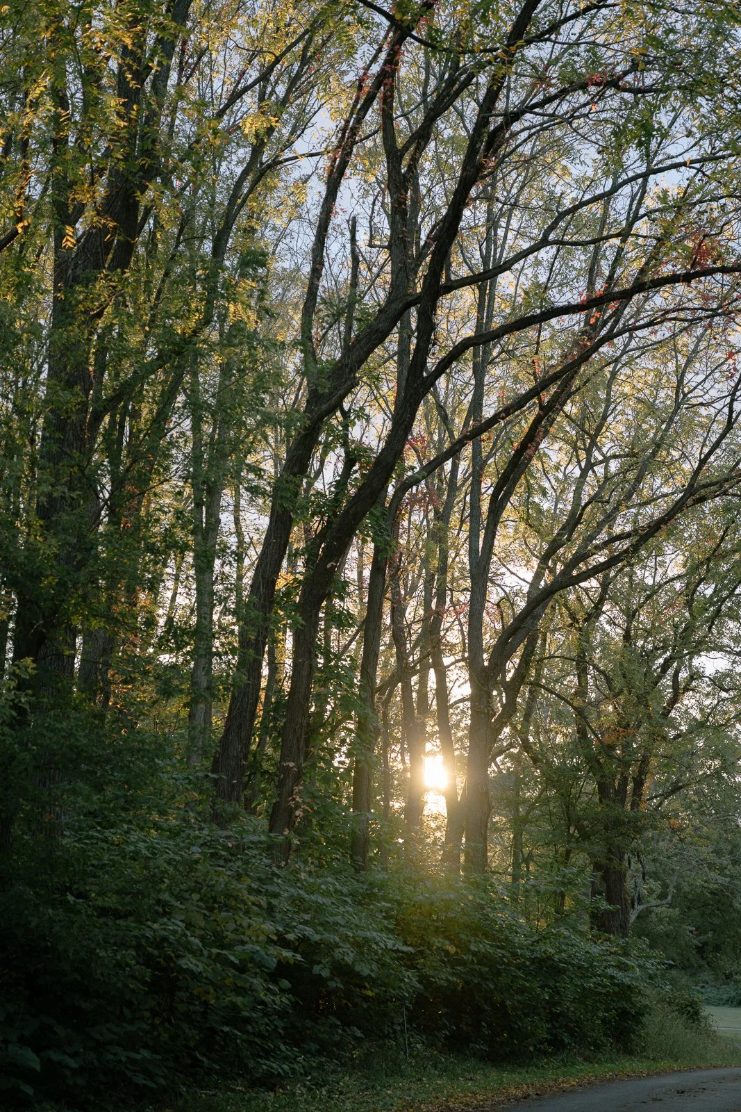 Mendon Ponds Engagement