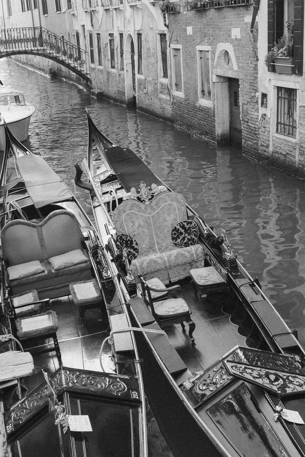 Rochester - Upstate New York - Finger Lakes Wedding Photography