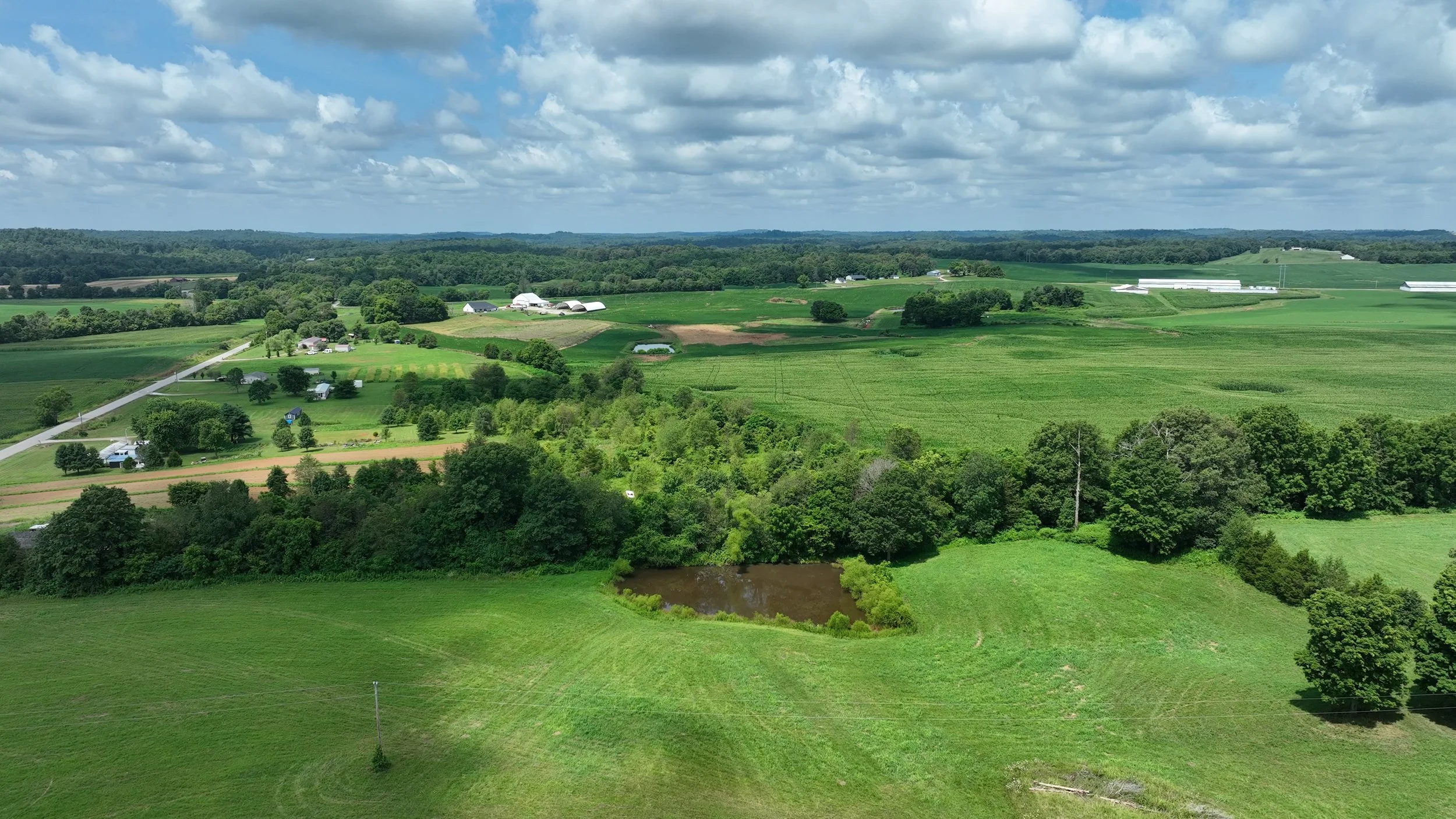DJI_0294-trimmed 00_00.427.jpg