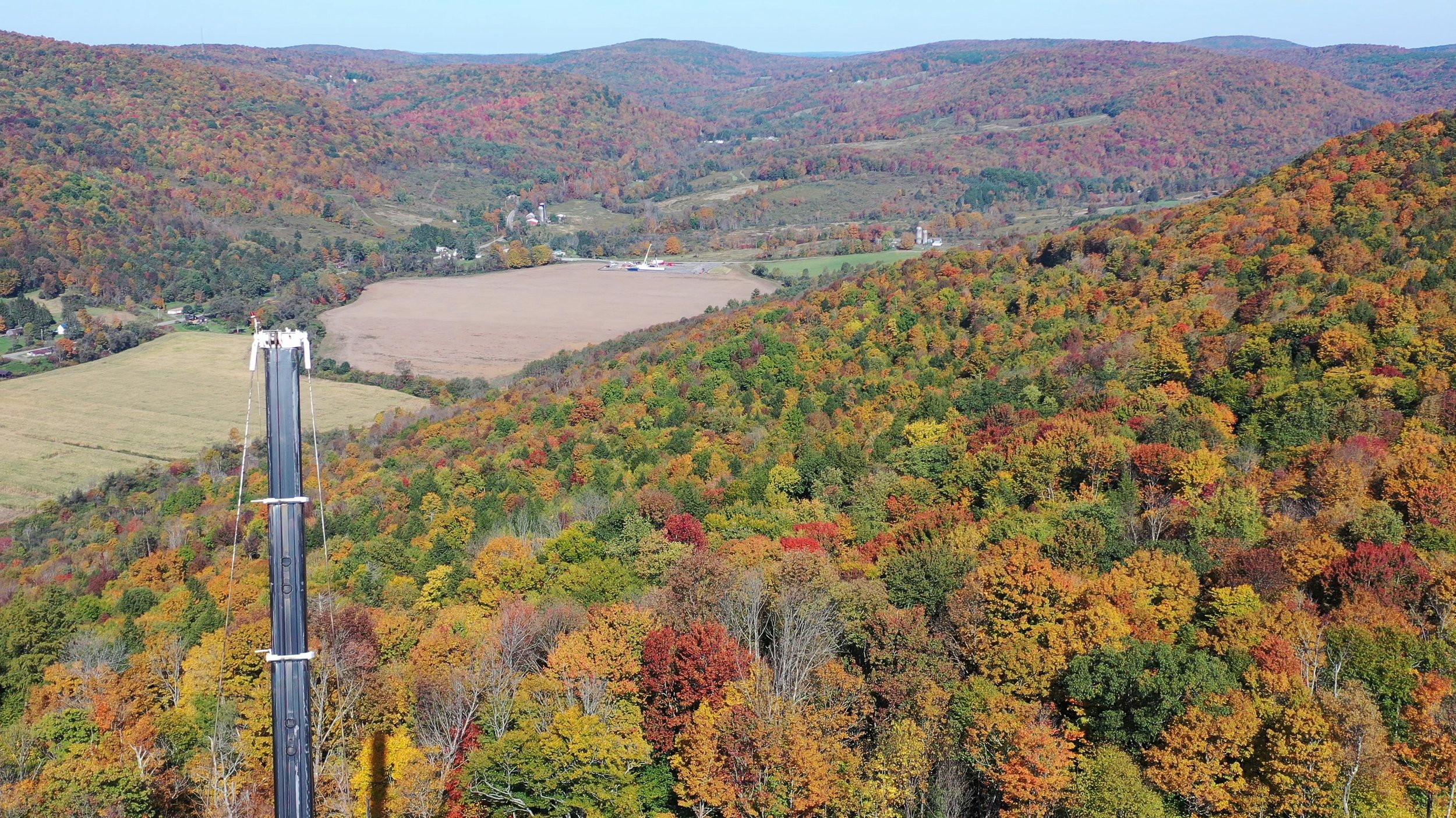 wind ny fall forest 00_22.96.jpg