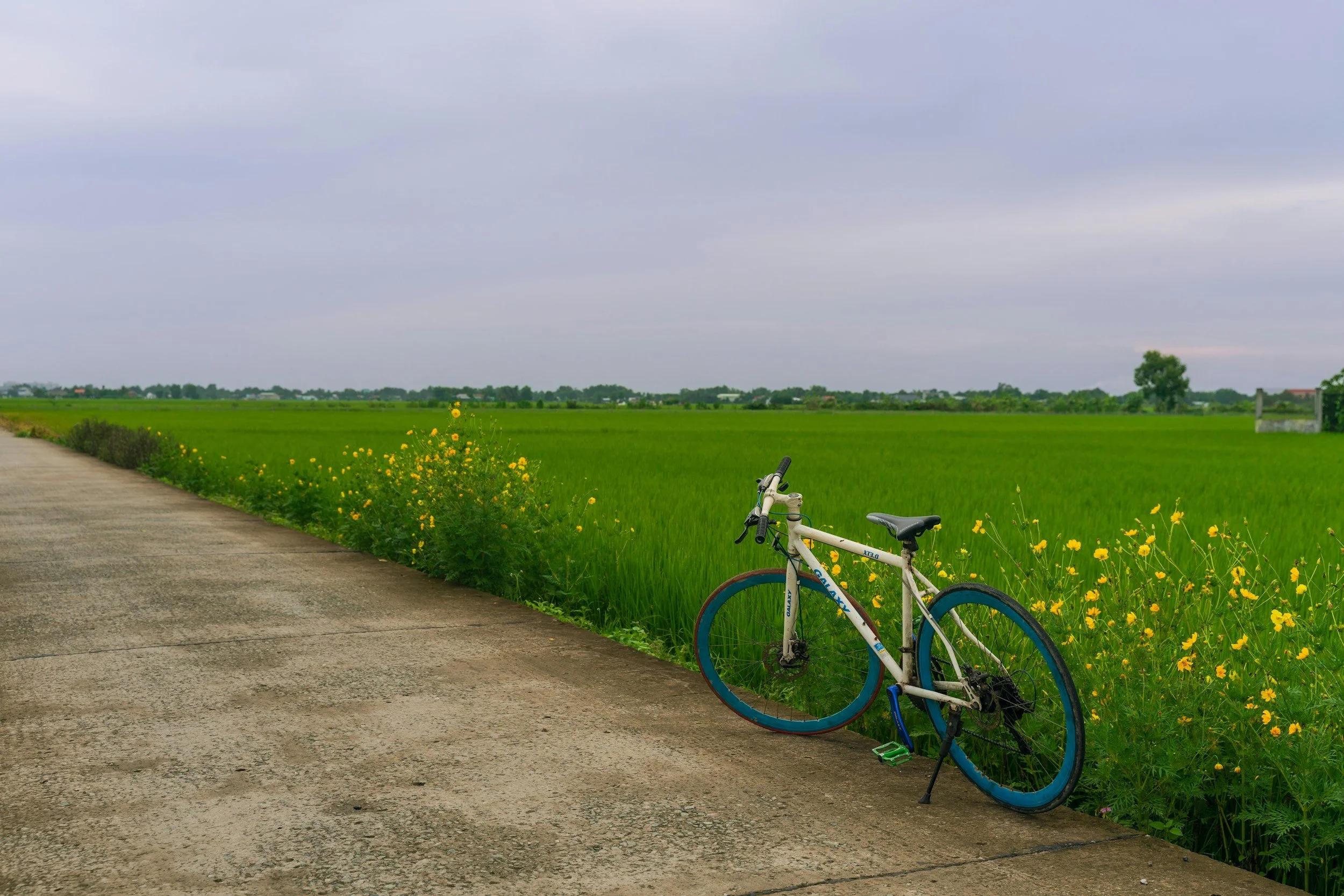 Cycling to Pleshey