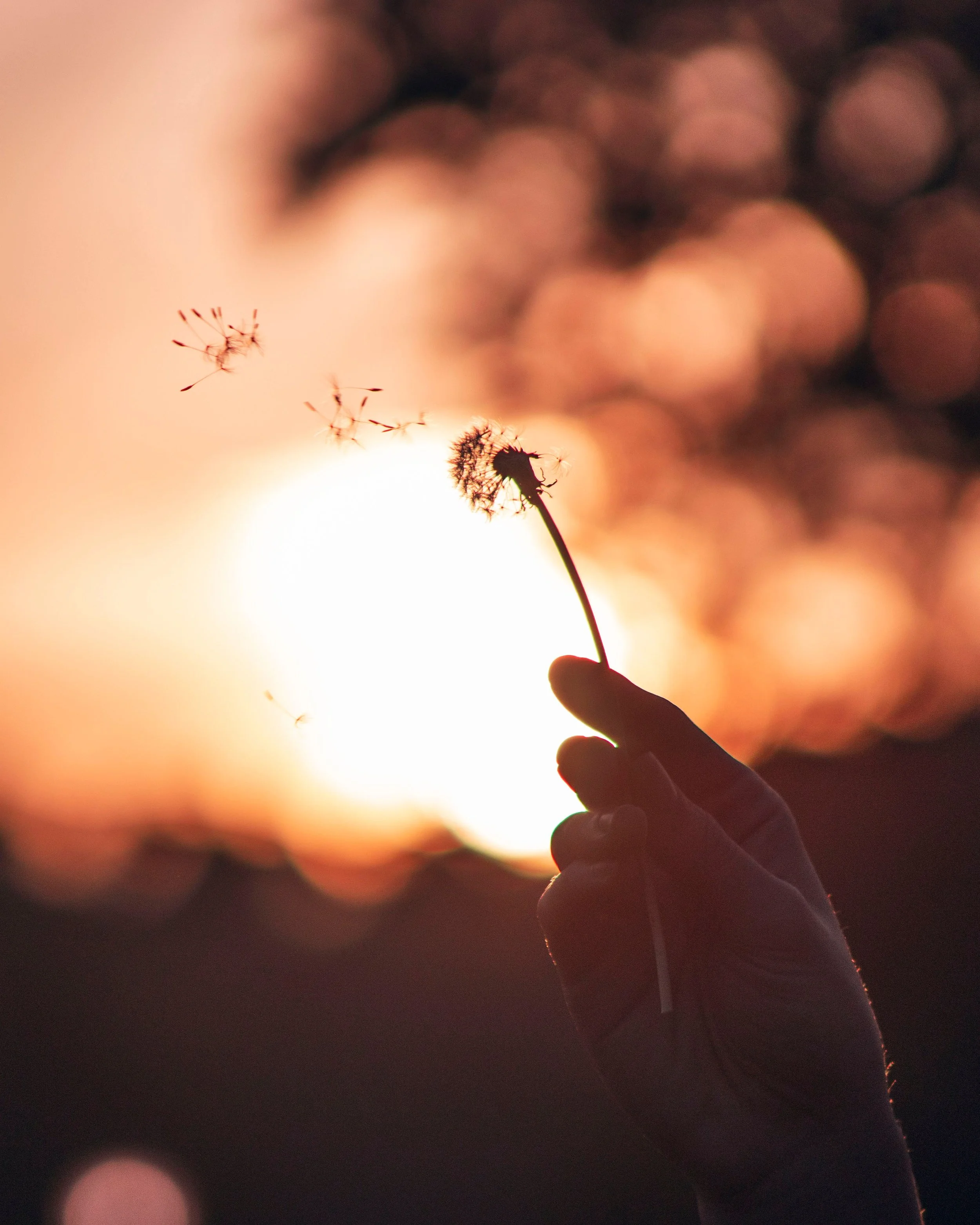 Learning to Let Go