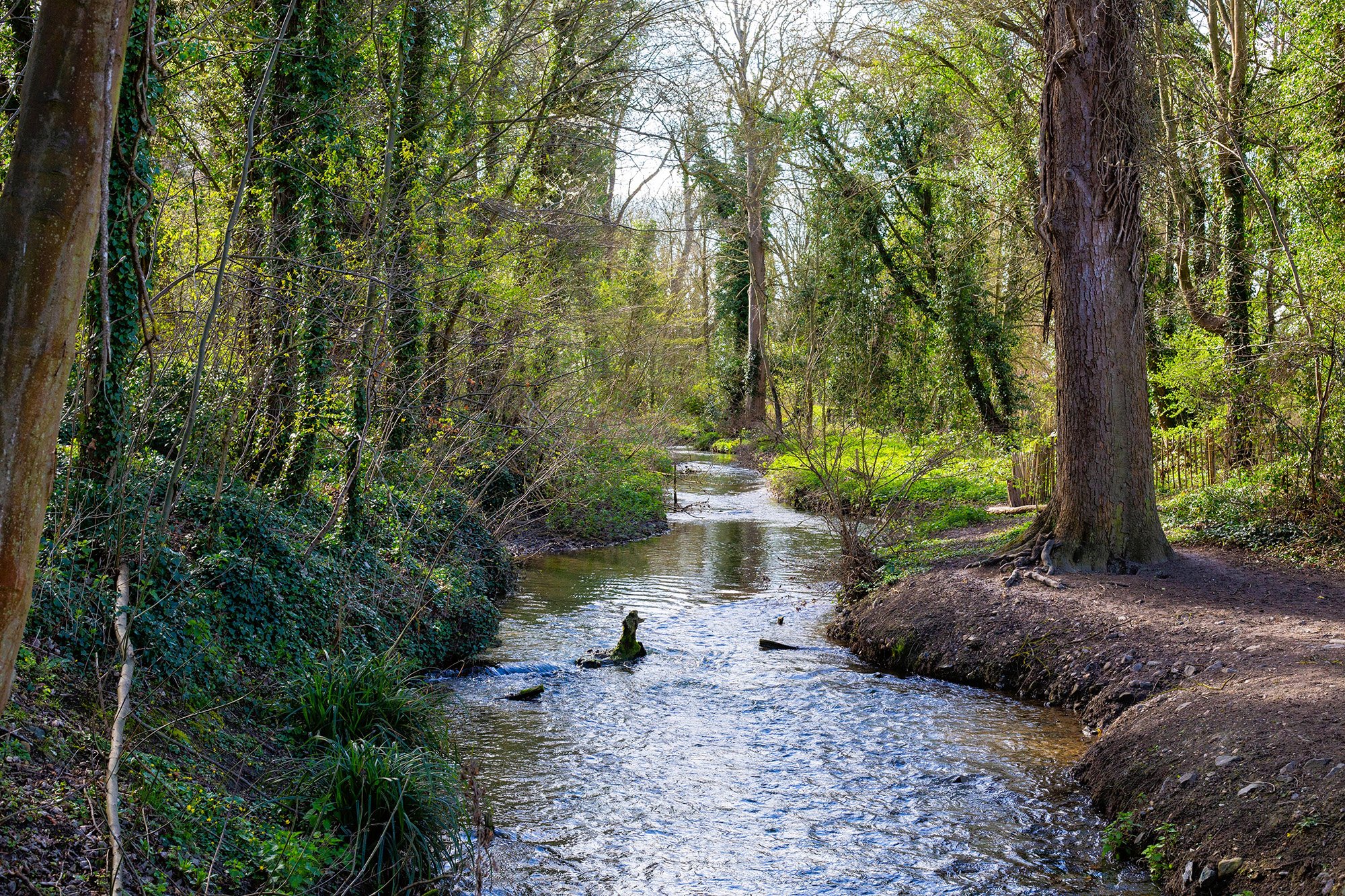 Rivers of Grace
