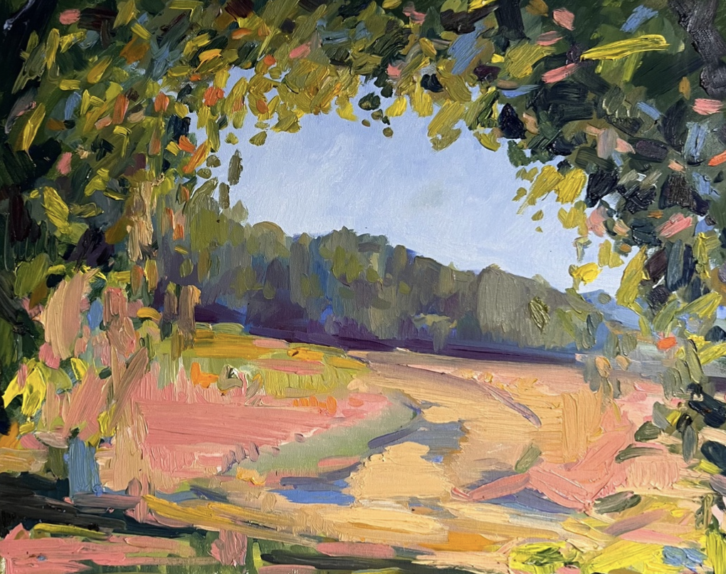 EMILY IN THE FIELDS OF GOLD