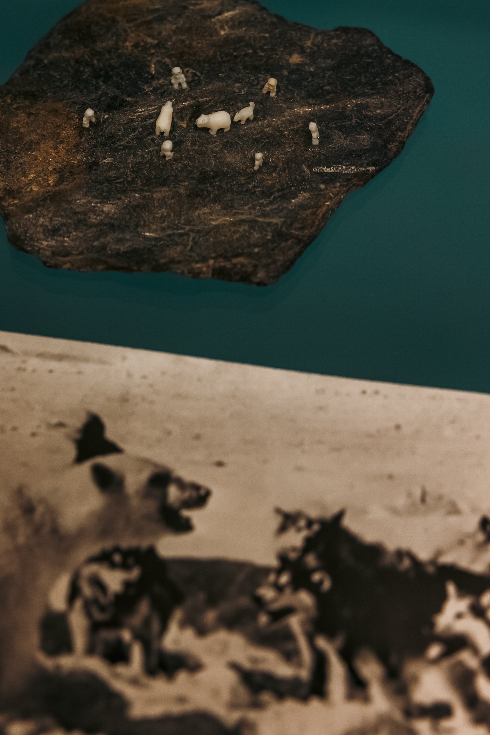 _ILM5580.jpg