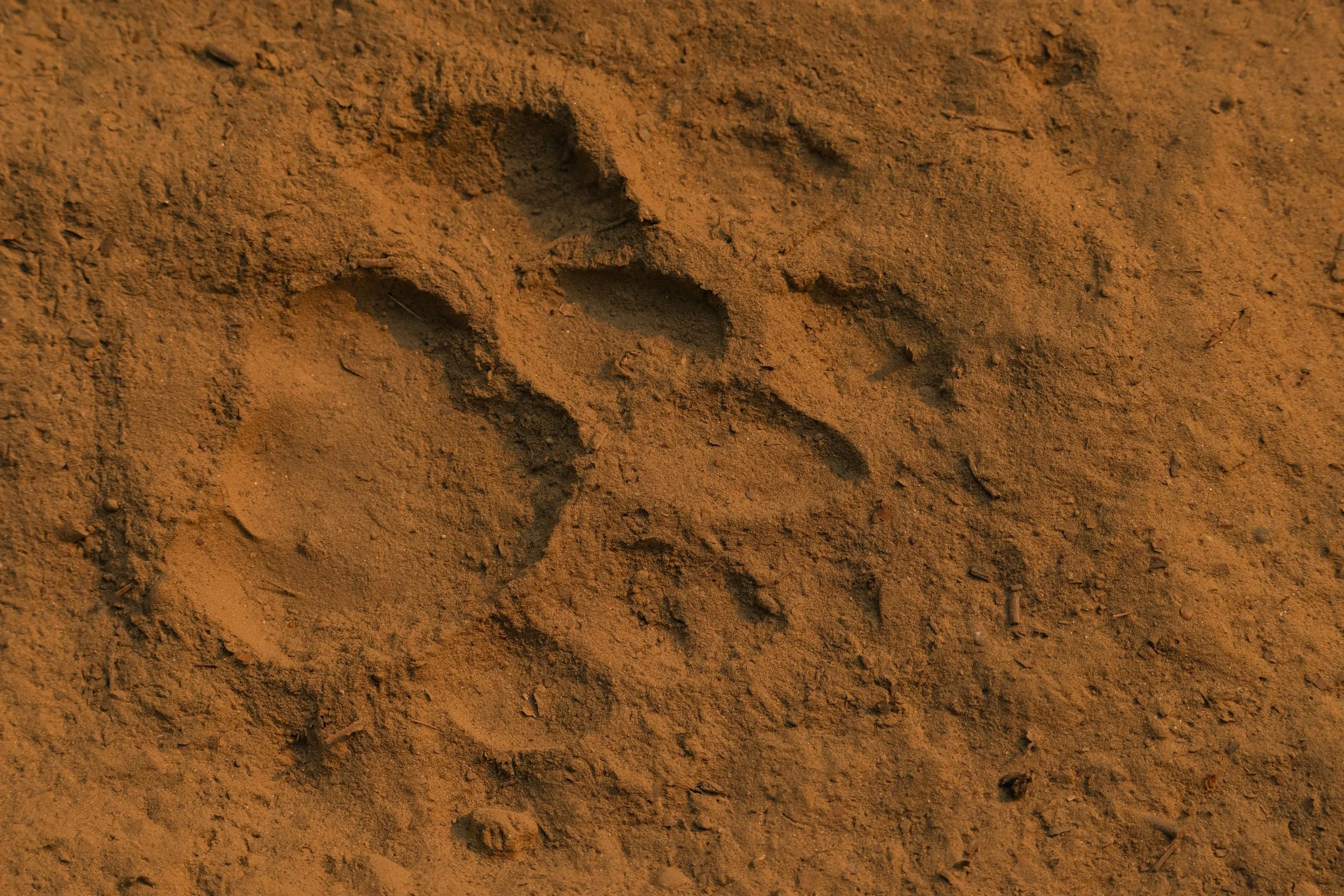 _M5A0624.jpg