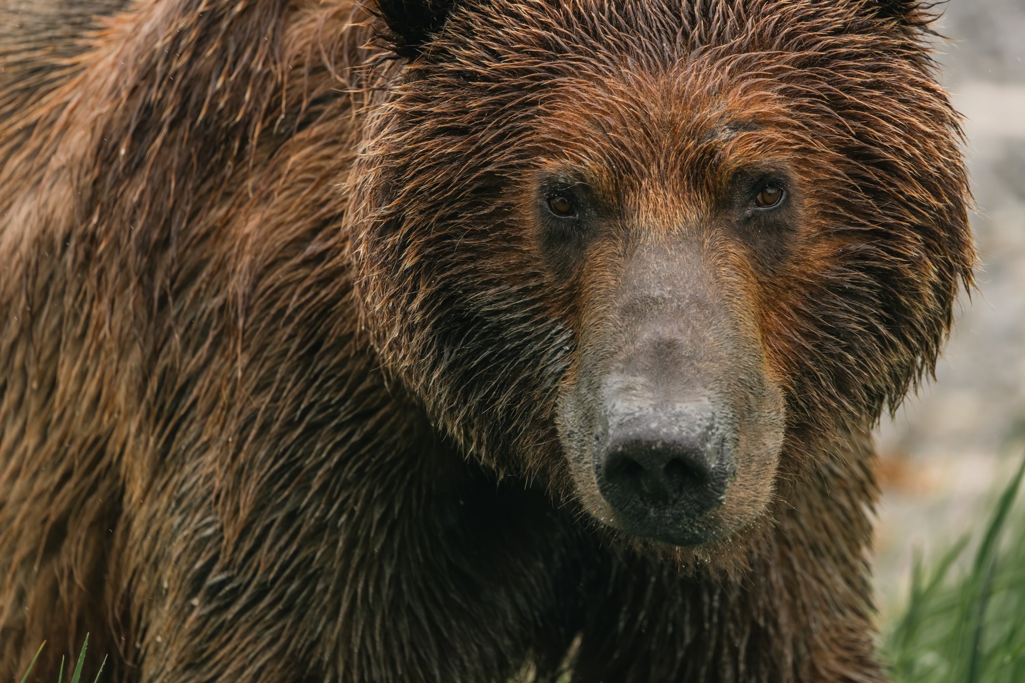 _M5A3580 - Copy.jpg