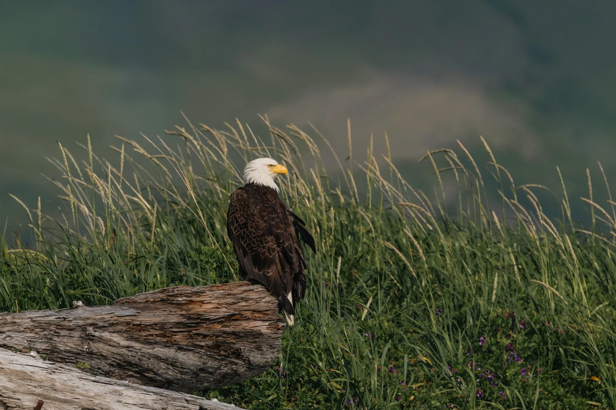 _M5A4586.jpg
