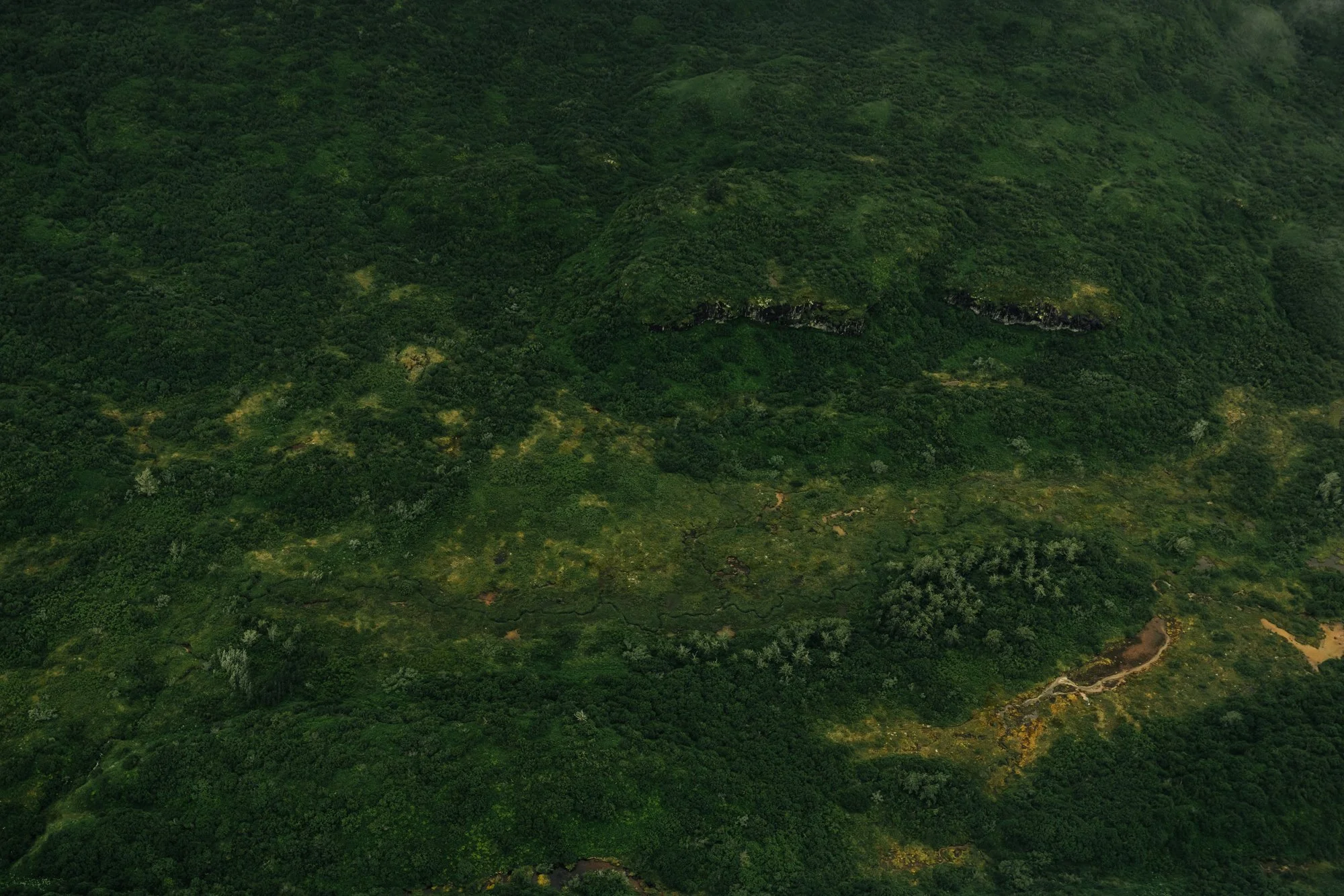_ILM0945.jpg
