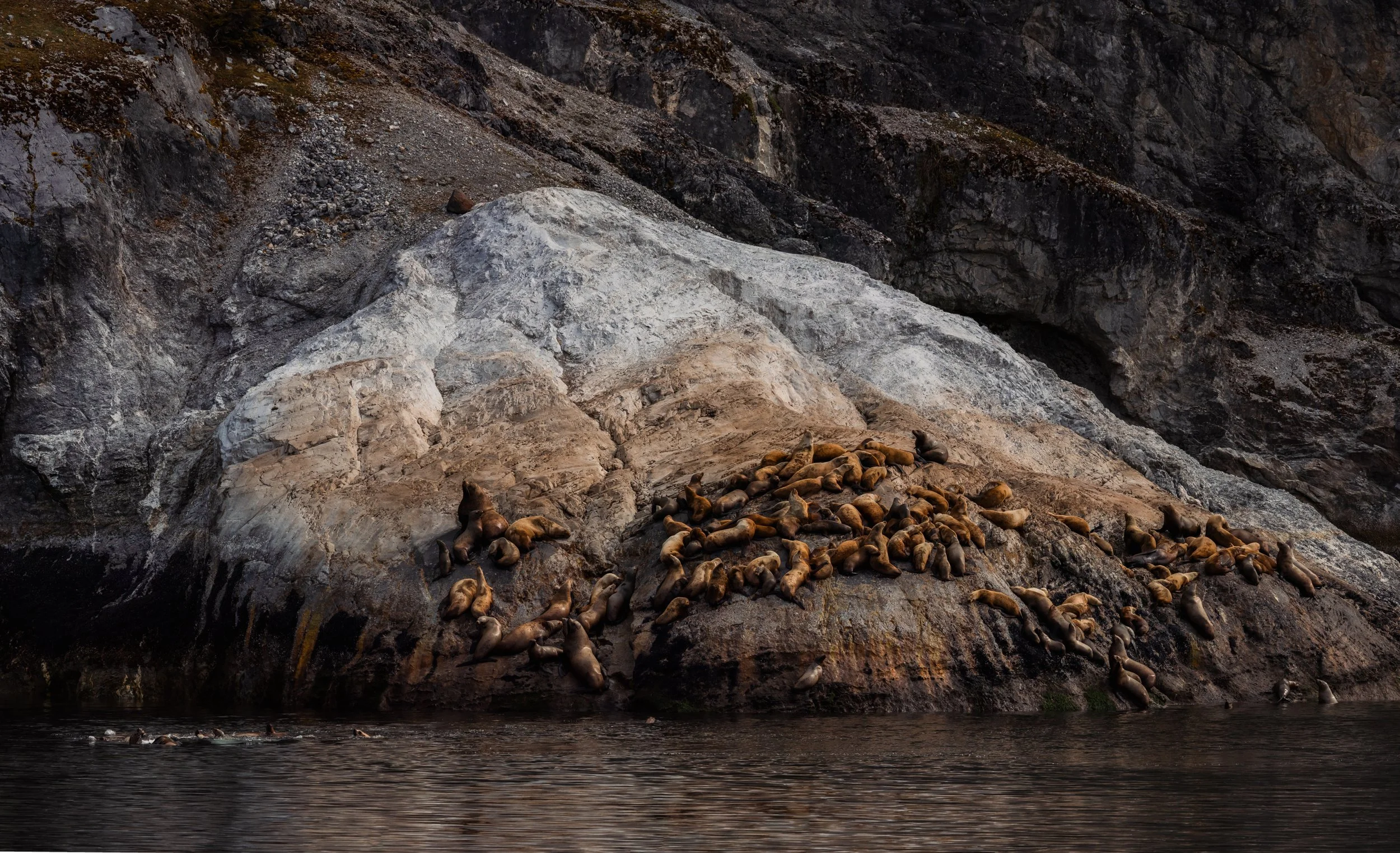 _ILM0033 (2)-Pano.jpg