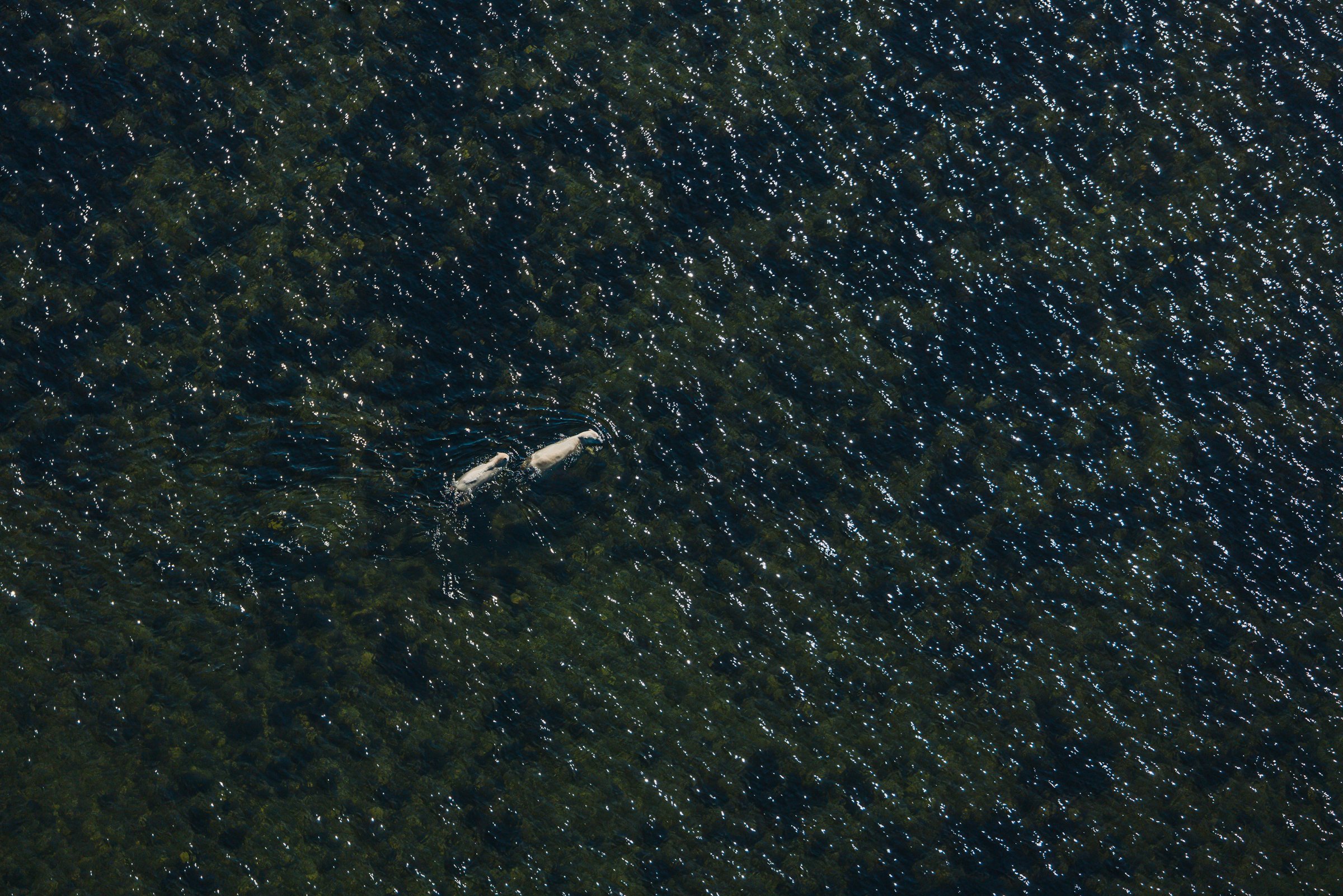 _ILM7860.jpg