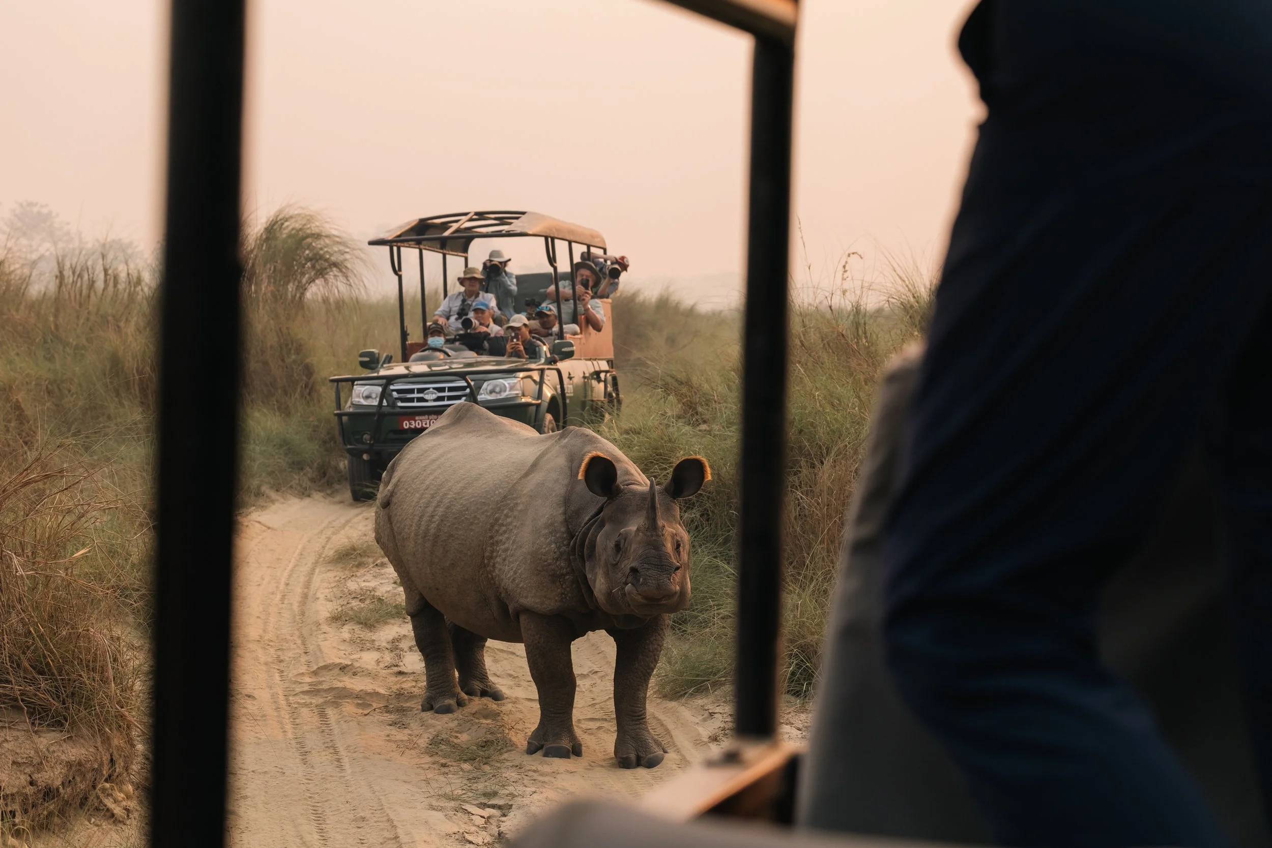 Chitwan