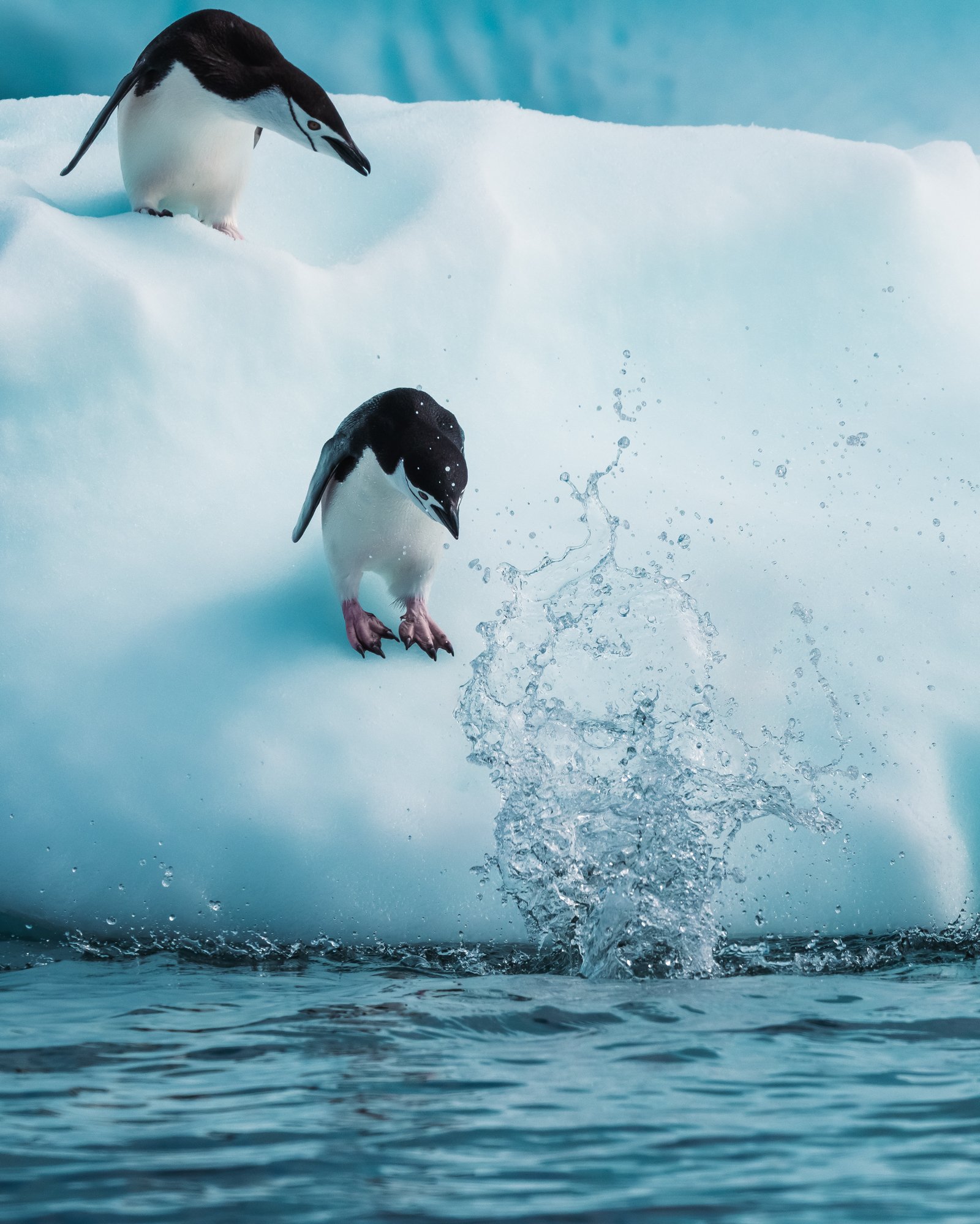 Antarctica