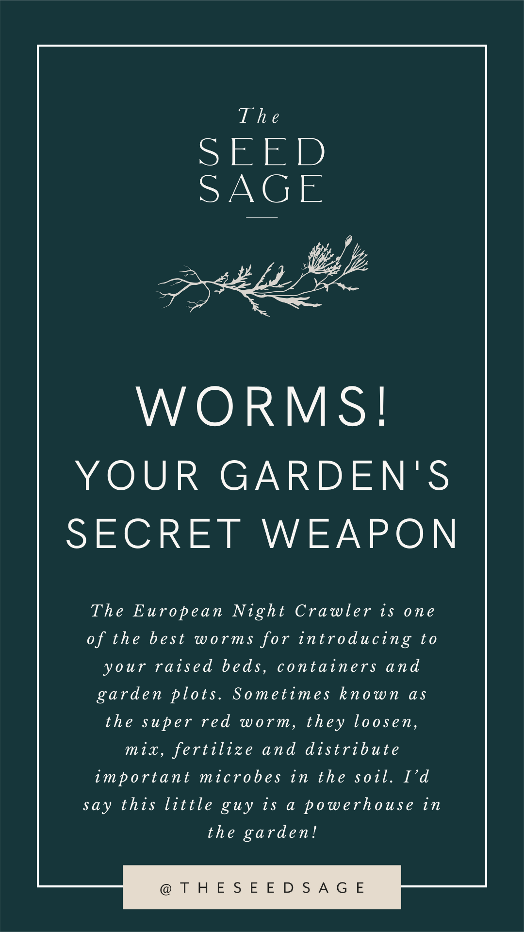 European Nightcrawlers: Benefits of Earthworms in the Garden — The