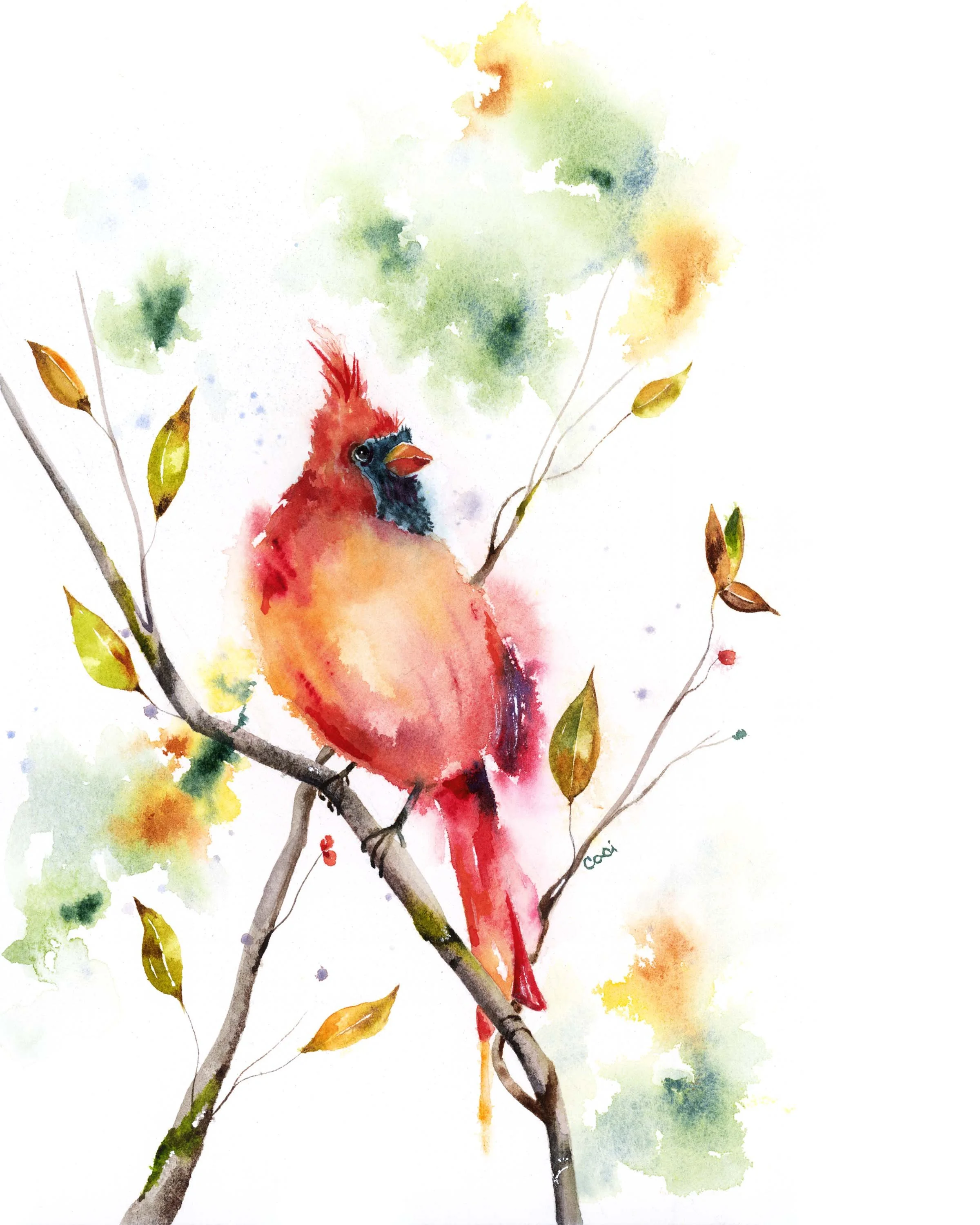 "Cardinal" - Limited Edition Print 11x4