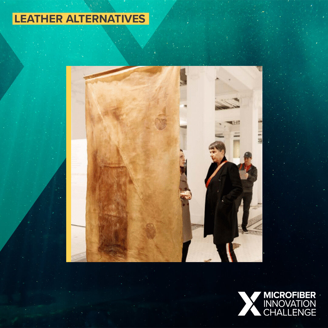 Biodegradable artificial leather from SCOBY and algae