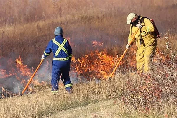 Introduction to Prescribed Fire in the Grassland Environment - Continuing Education | University of Saskatchewan (usask.ca)