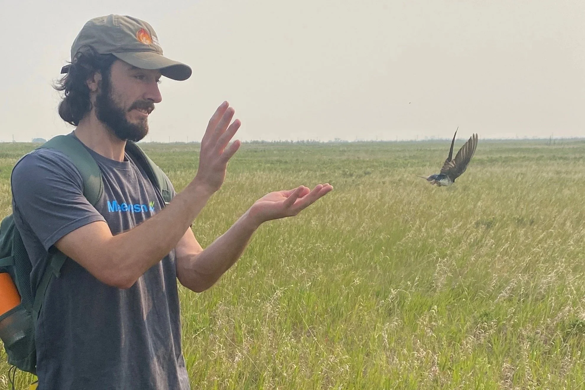 The life of a CPPFE summer student