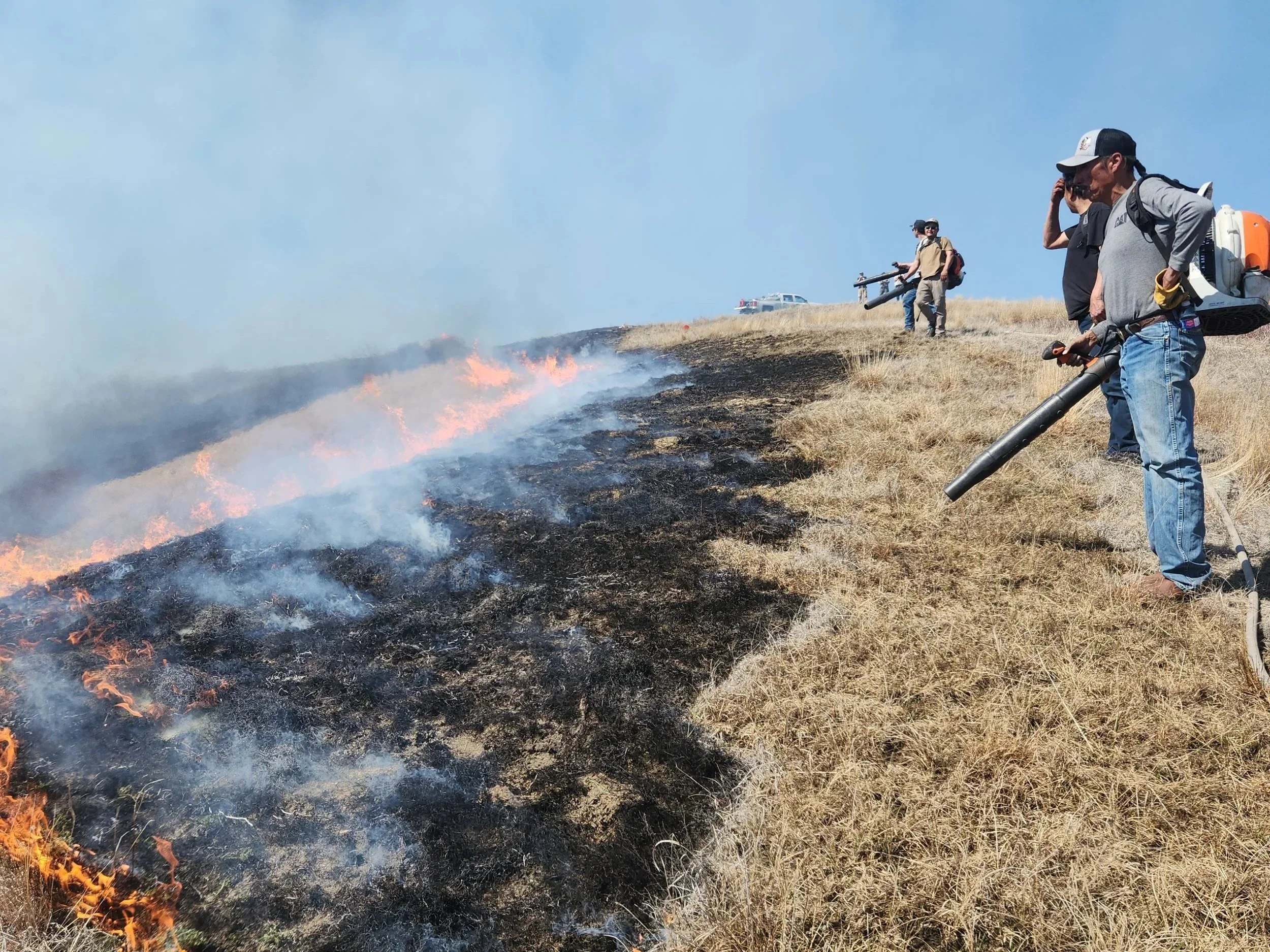 TREX Training in Action - From Prescribed Fire to Wildfire Response