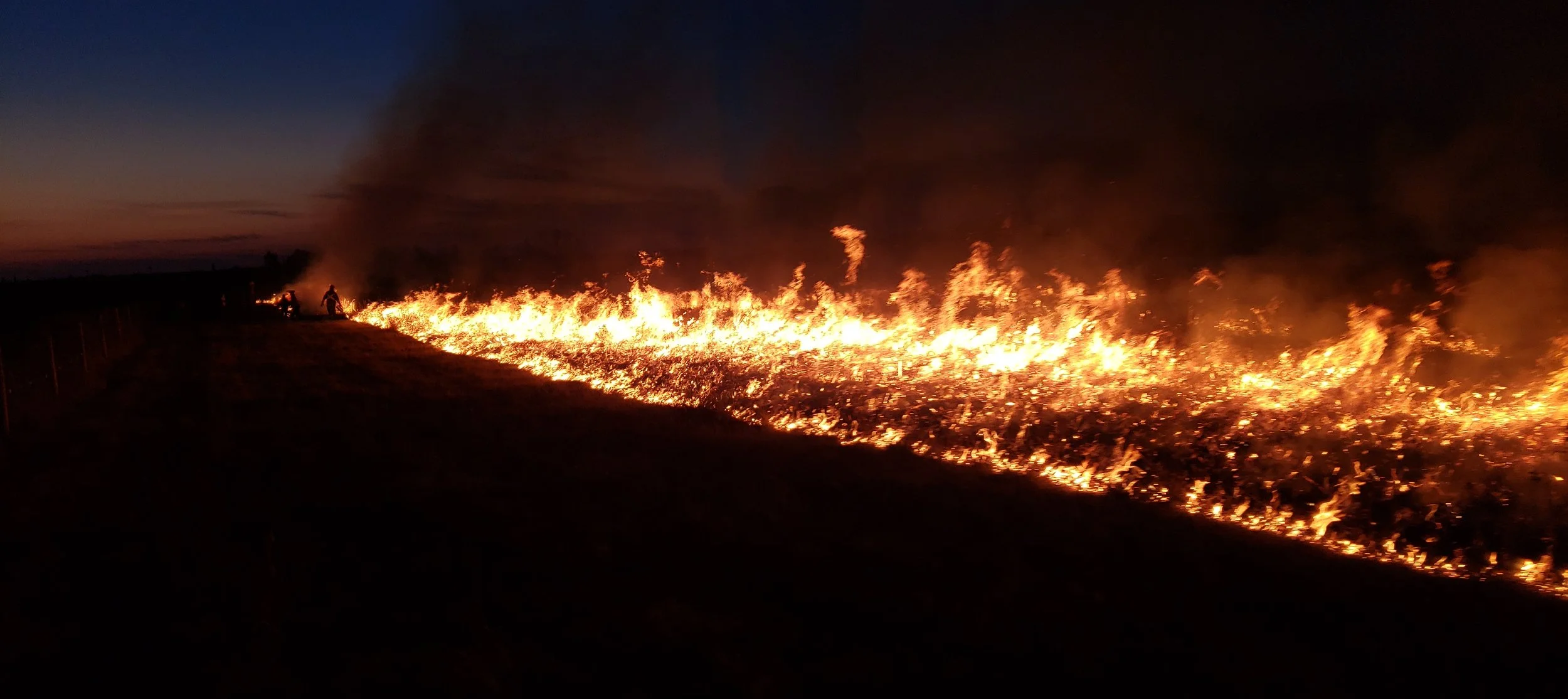 Understanding Prescribed Fire
