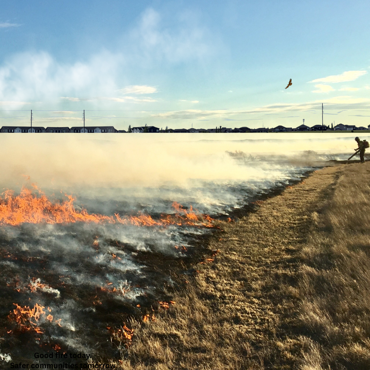 How Prescribed Fire Helps Protect Communities: Understanding Wildland-Urban Interface Fires on the Prairies