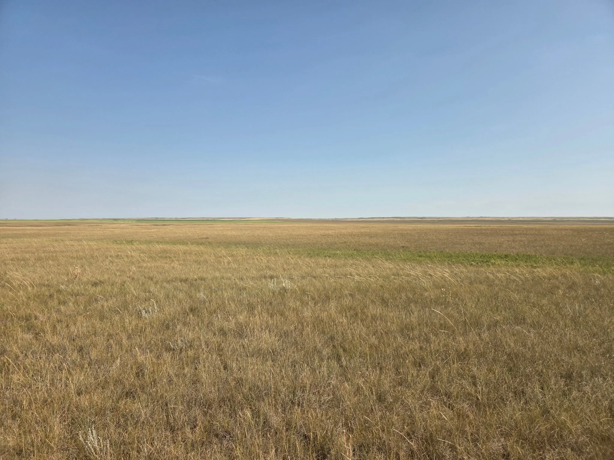 State of the Prairie II: Understanding Ecosystem Health and the Role of Fire in Building Resilient Landscapes&nbsp;