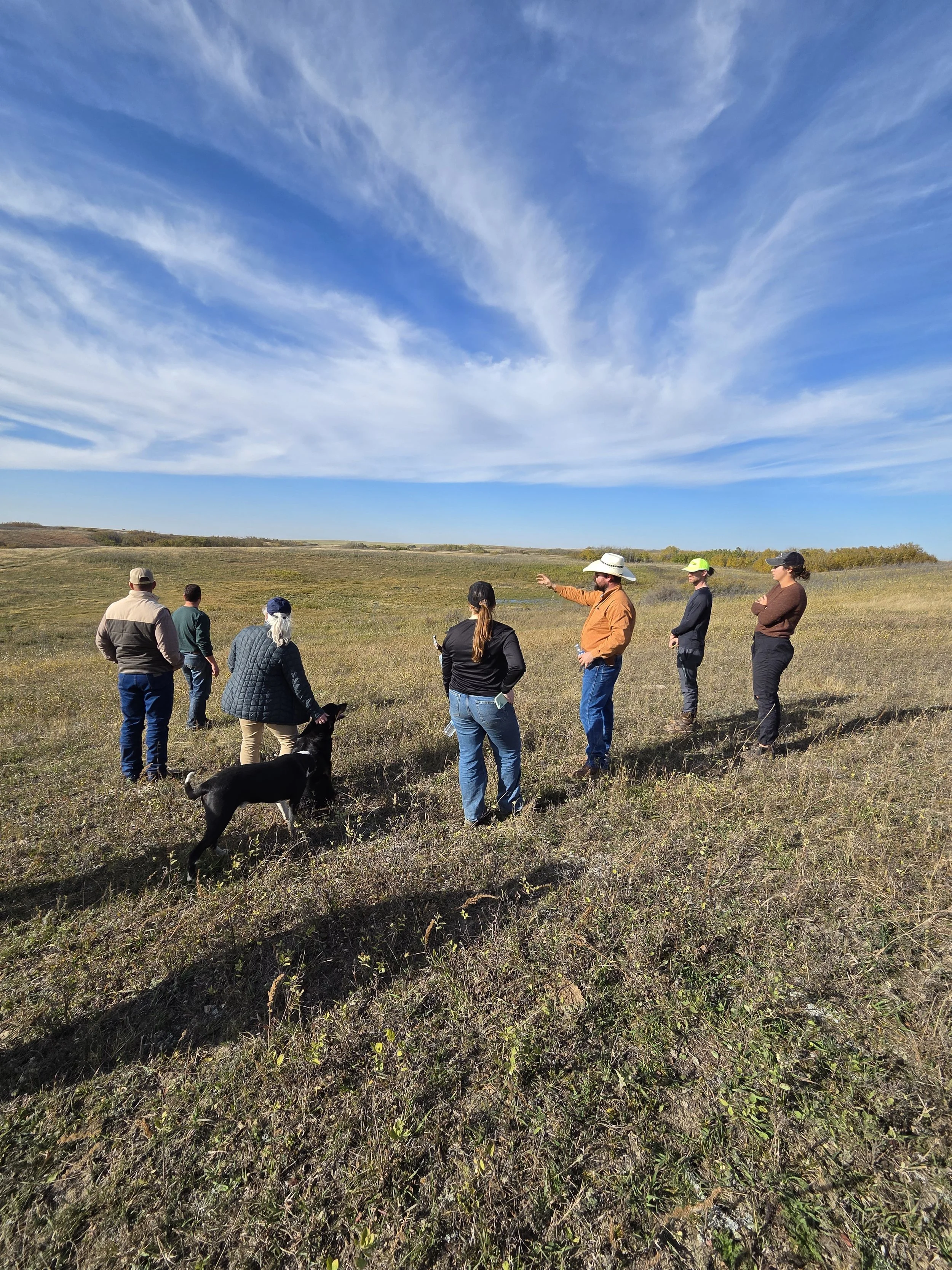 Fire, Grazing &amp; Grassland Management at Aberdeen Municipal Pasture