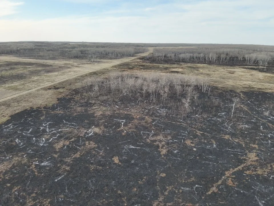 Complete burned patch