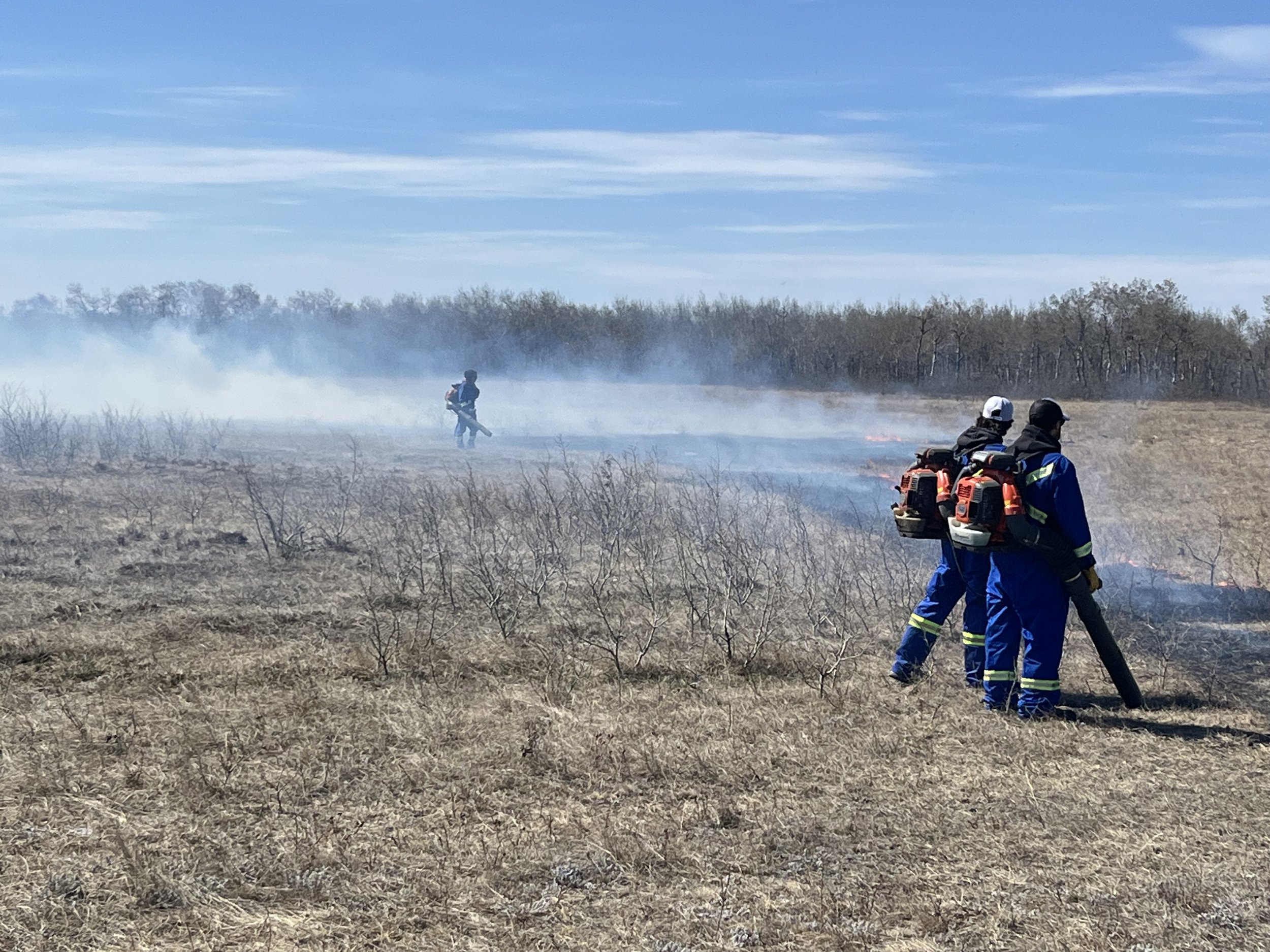 Prescribed fire in action