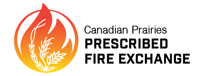A logo with a flame and wheat design next to the text 'Fire & Grain'.