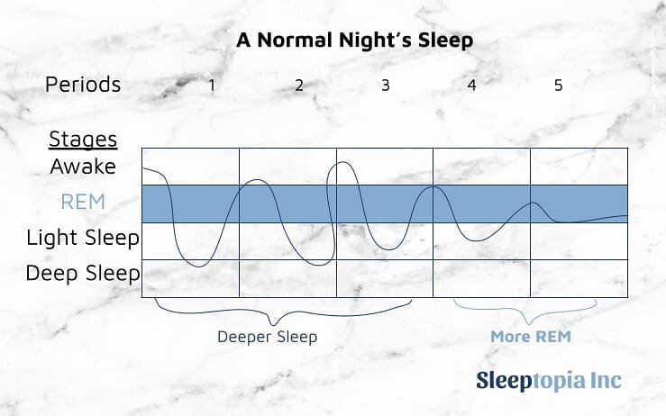 REM Stage (Last stage) - REM stands for Rapid Eye Movement, and this stage of sleep occurs after 90 minutes of non-REM stages occur. The eyes will dart and move quickly underneath the eyelids. People experience dreaming since the brain activity, hear