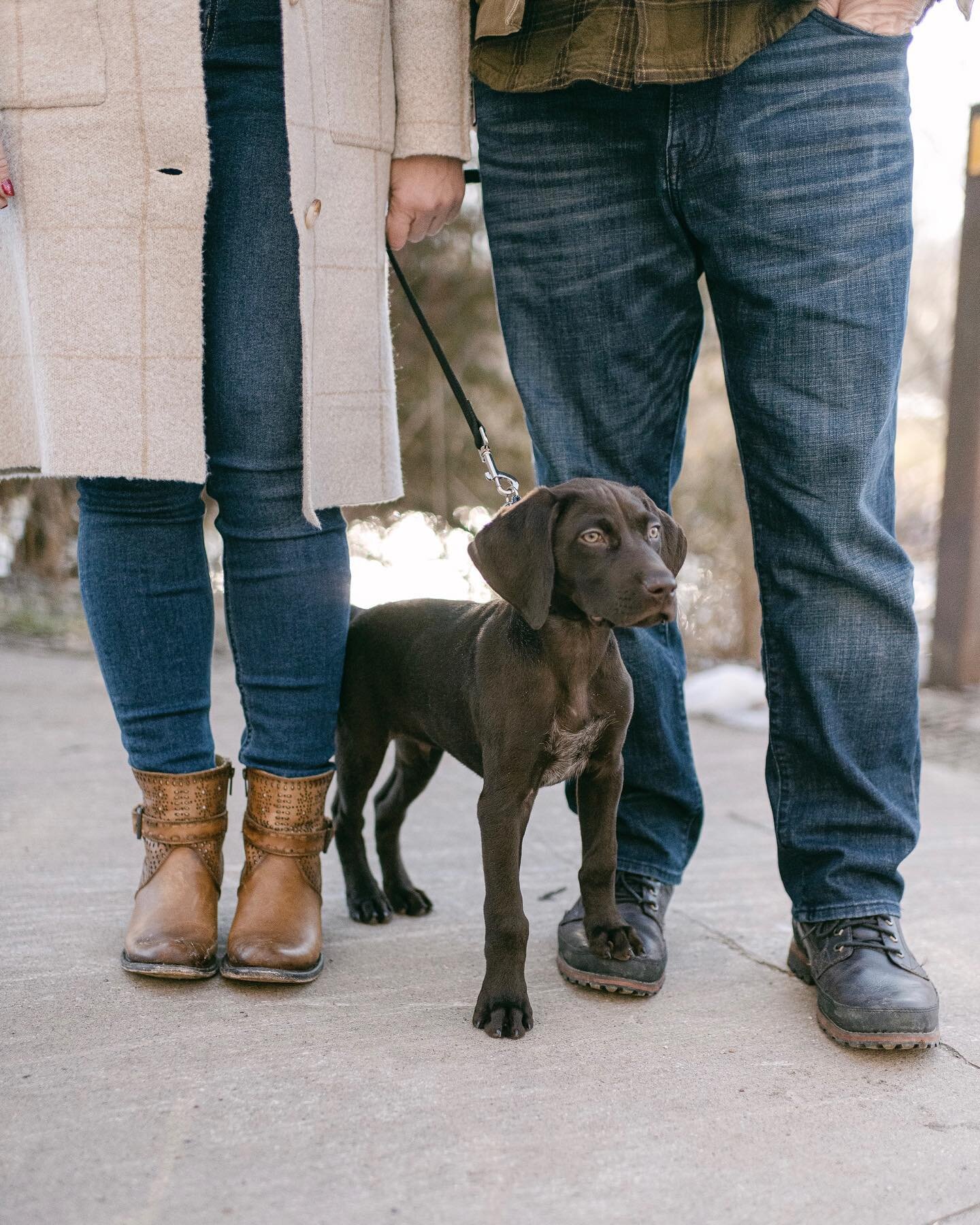 While the verdict may still be out on what season we're ACTUALLY currently in (is it spring? is it summer? is it stilllllll winter?!) one thing is absolutely for certain: puppy sessions 📷🐾 are always a good idea. 

Why? Did you know: 

🐾 Each day 