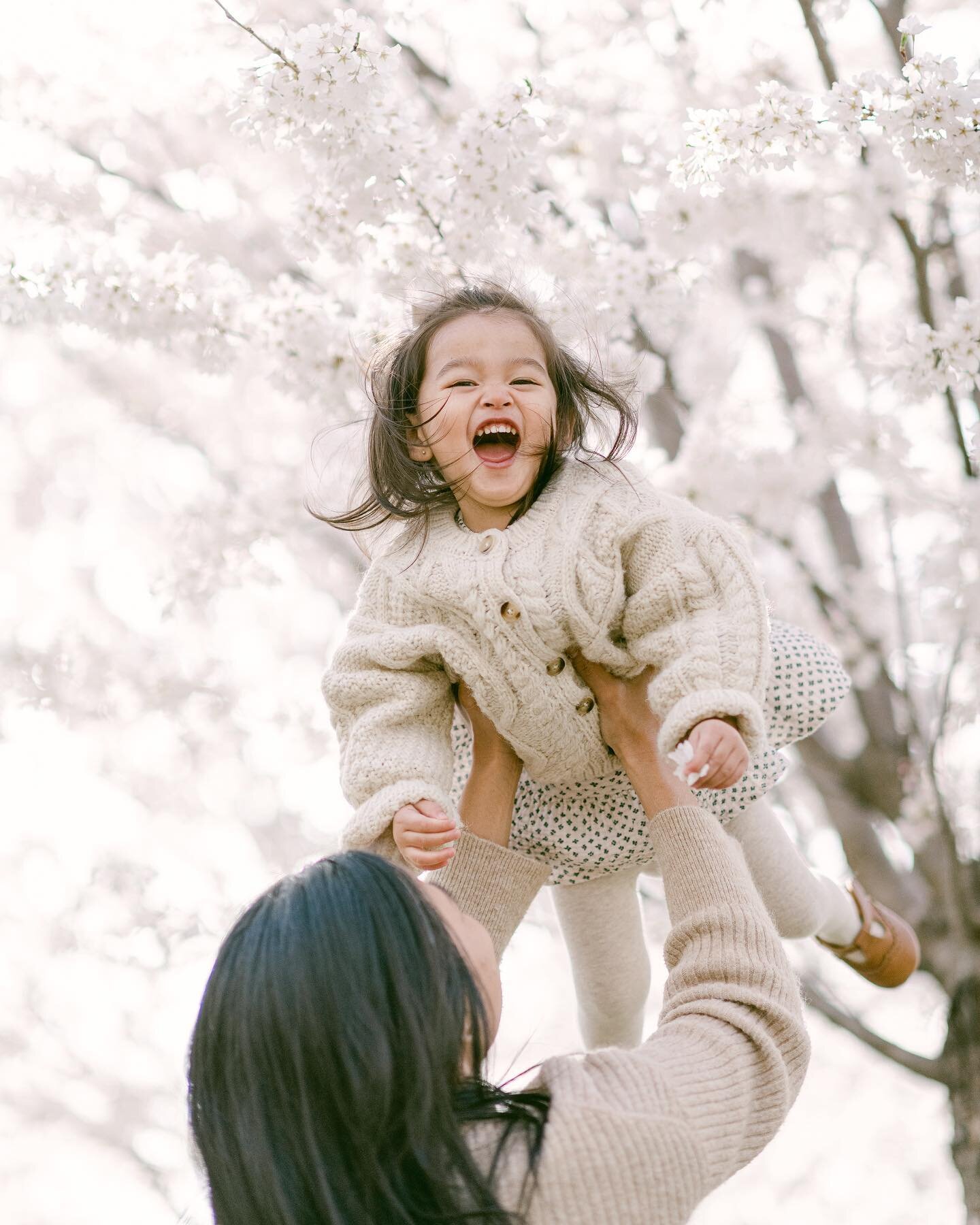 When the Cherry Blossoms are in peak bloom, the sun comes out, you're with your favourite people and can feel the magic - sweet Eden's excitement here says it all, perfectly describing a glorious first night of Spring Bloom Minis! 🌸📷✨

Peak bloom o