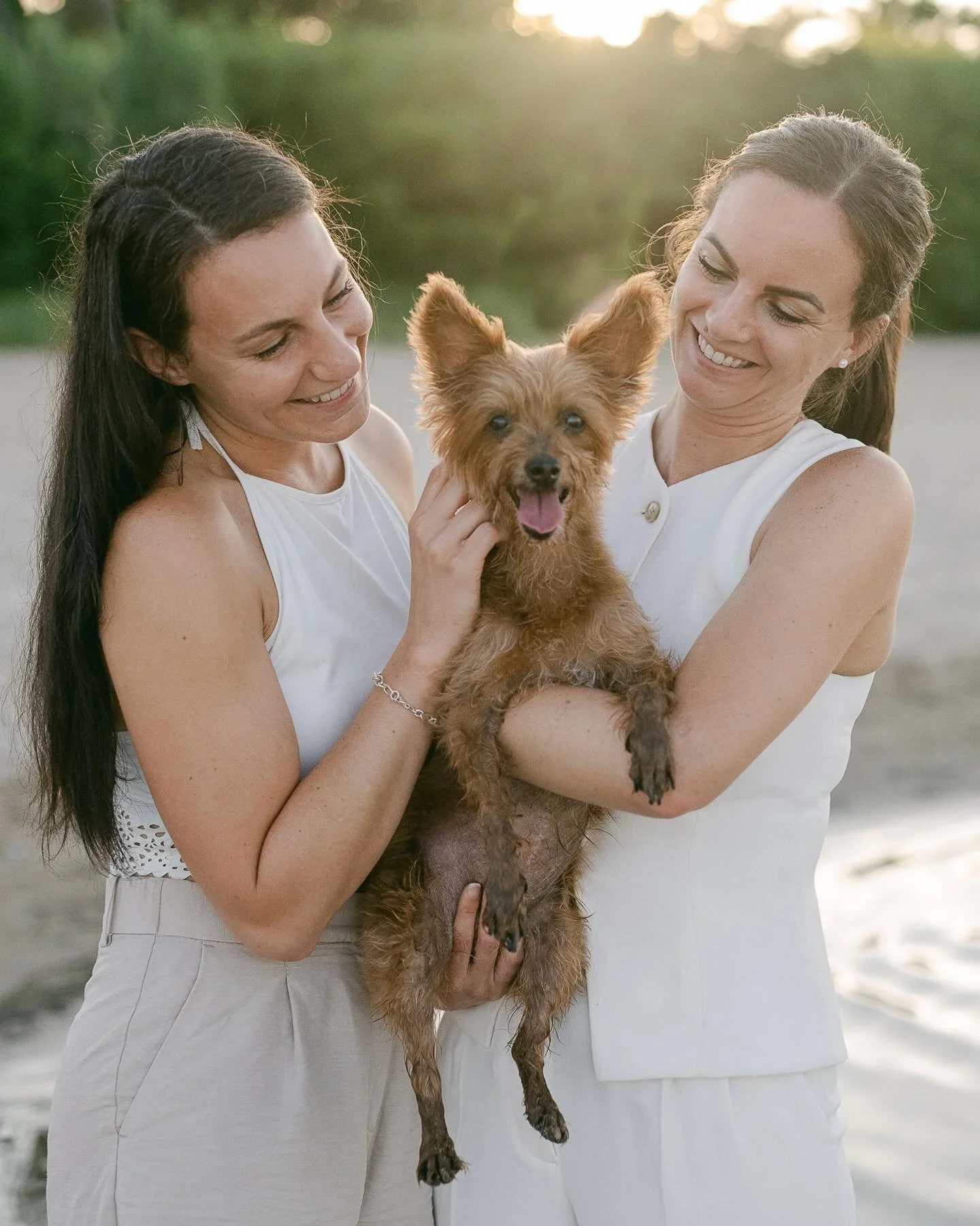 Sandy paws, windy hair and happy hearts honouring sweet Maddie at the beach. 

#AnimalSession #DogSession #AnimalPhotographer #Dogtographer #DogPhotography #EndofLife #LegacySession #BurlON #BurlingtonAnimalPhotographer #PetPhotographer #BurlingtonPe