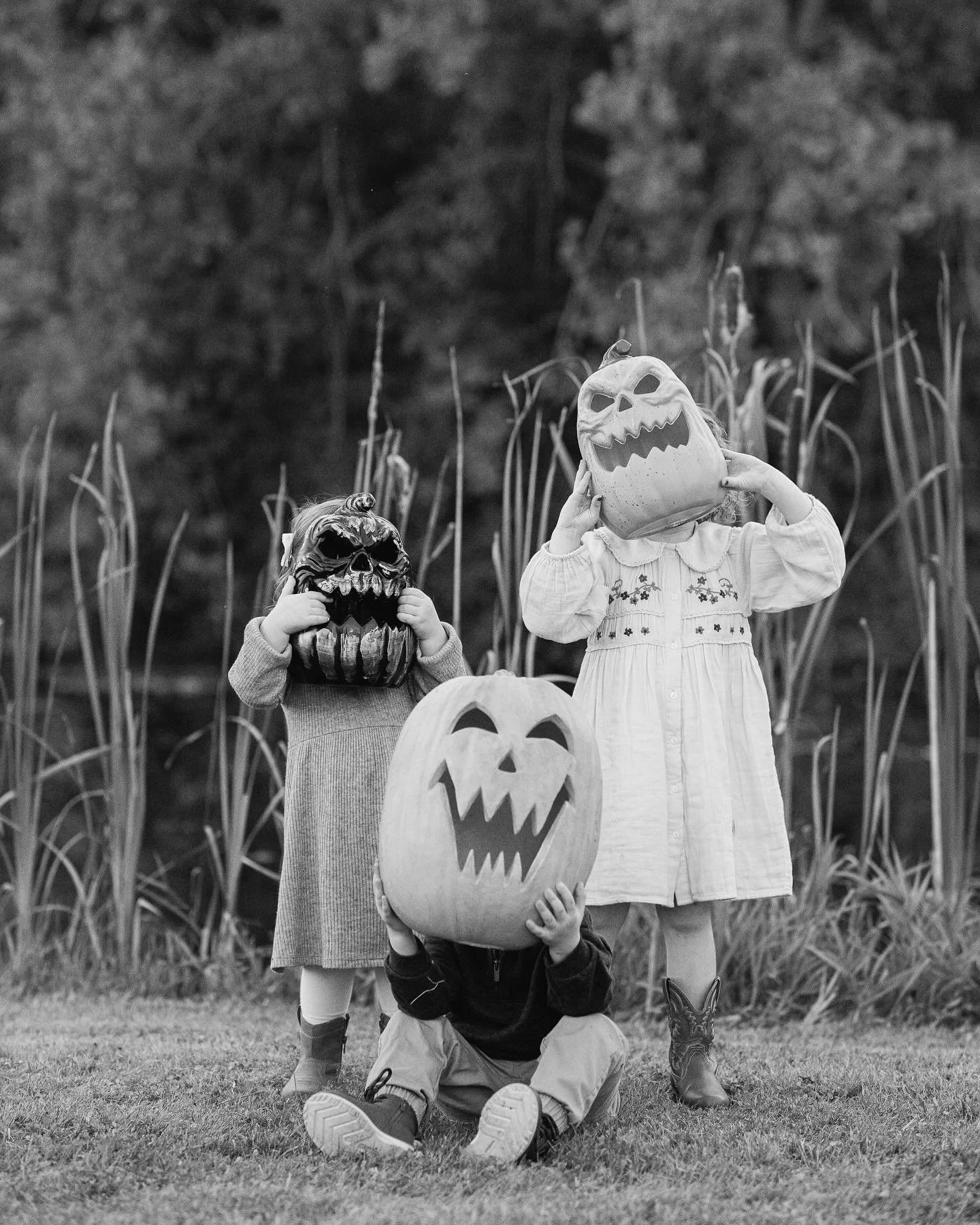 Tiny pumpkins, big personalities. Wishing everyone a safe and Happy Halloween - and hopefully a nice treat (and no tricks!) for a World Series championship too! 🎃⚾️

#HappyHalloween #PumpkinHeads #Halloween #TrickOrTreat #BurlON #BurlingtonFamilyPho