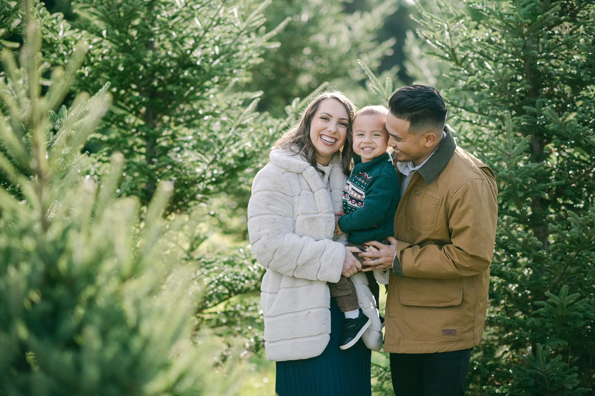 Holidays 2026 Mini Sessions: Tree Farm